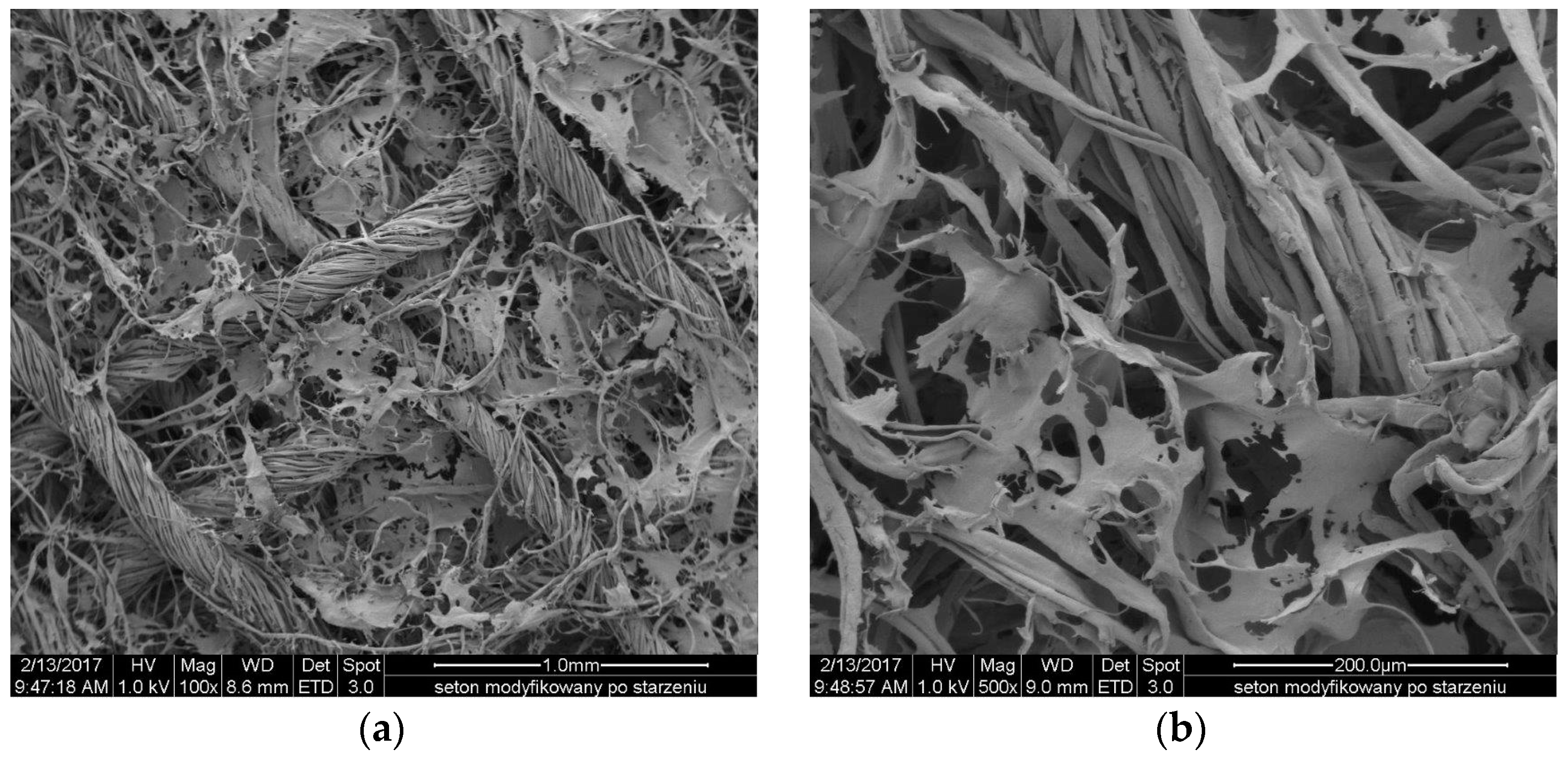 Molecules 22 02240 g012 550