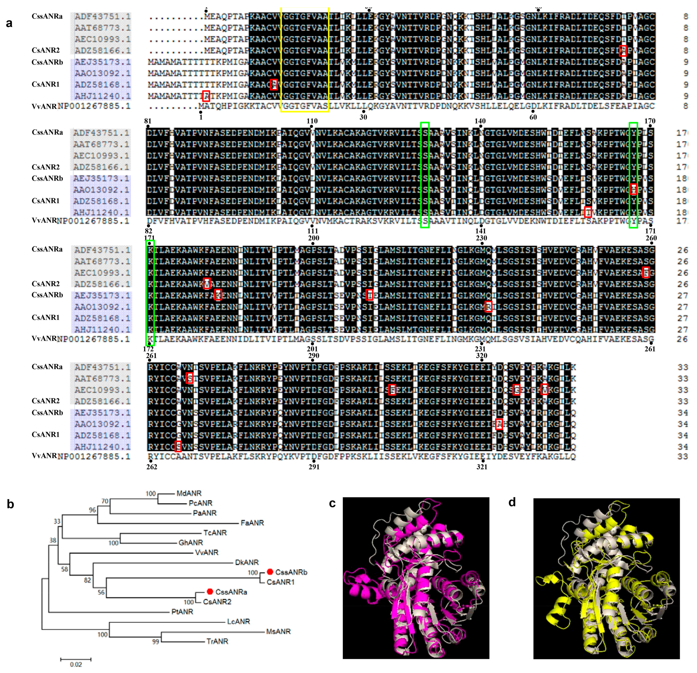 Molecules 22 02241 g004 550