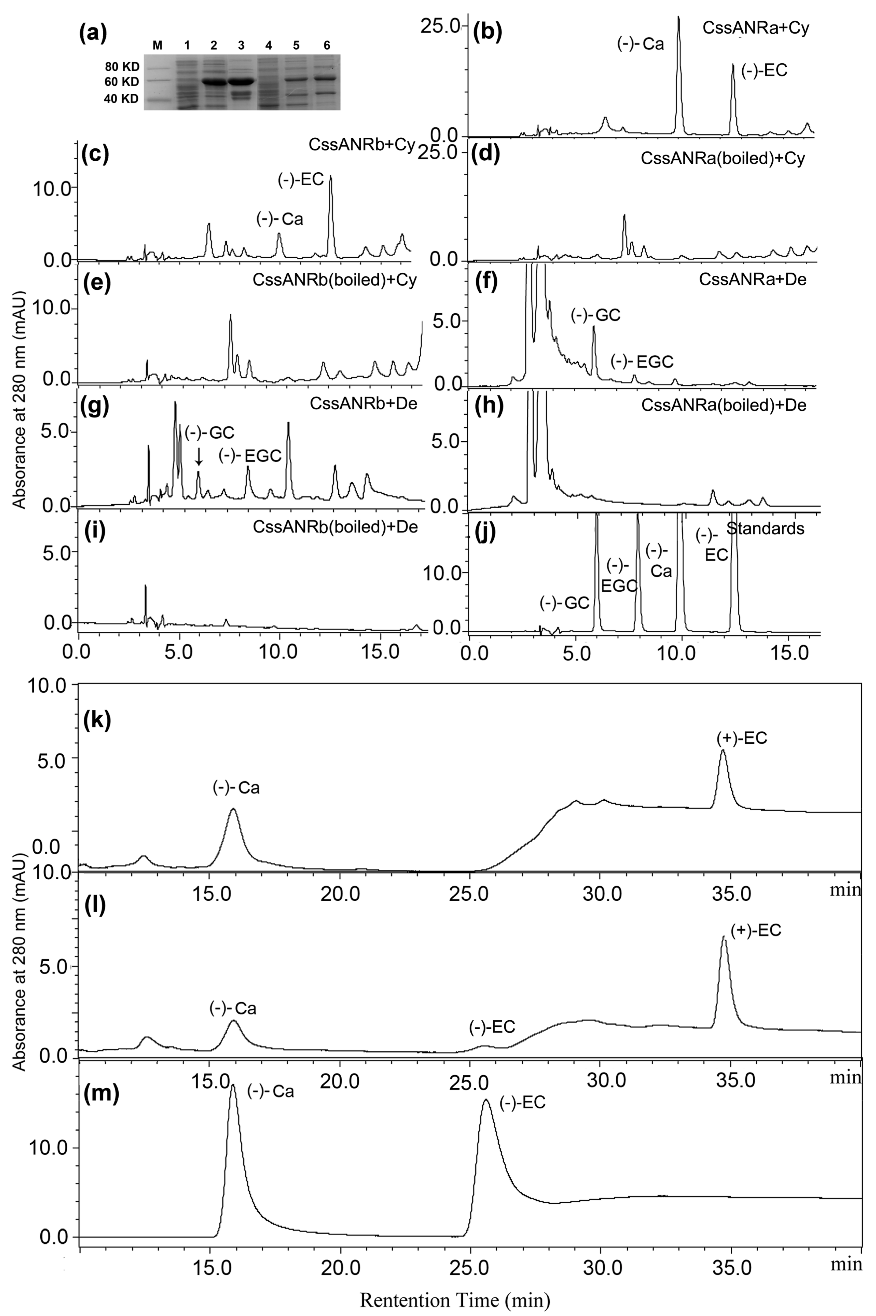 Molecules 22 02241 g006 550