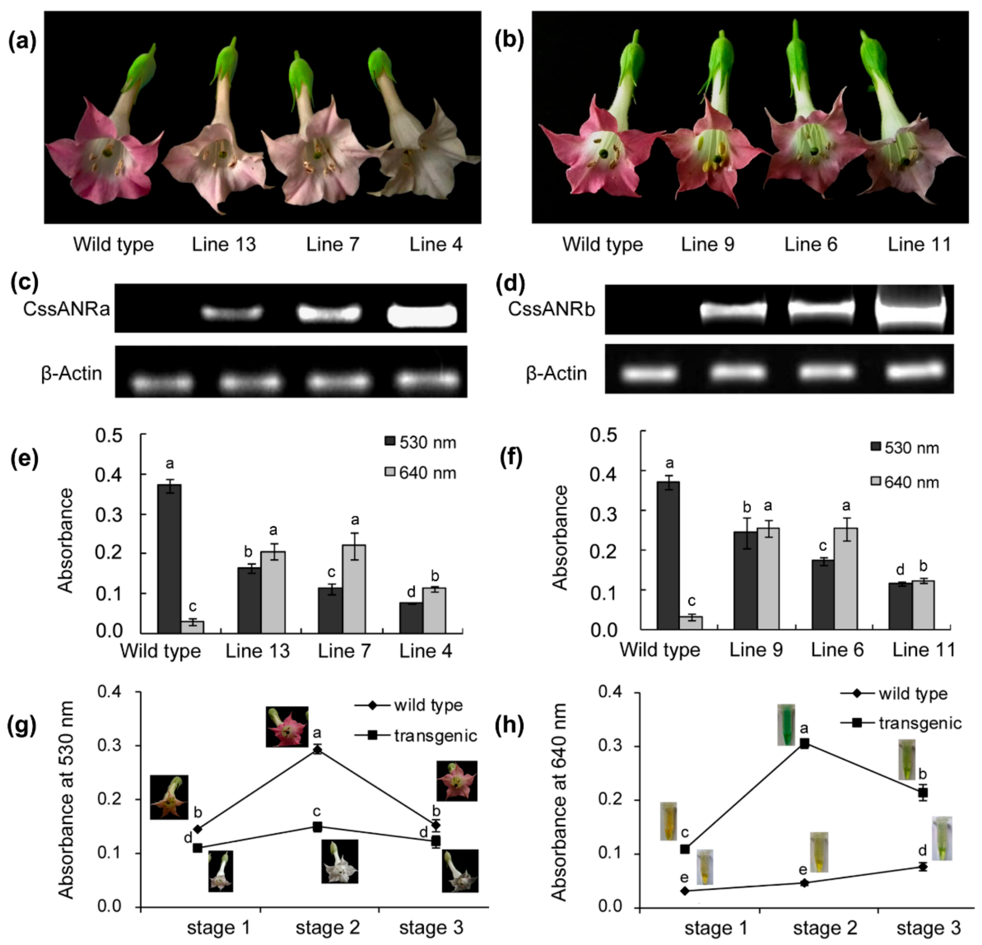 Molecules 22 02241 g007 550