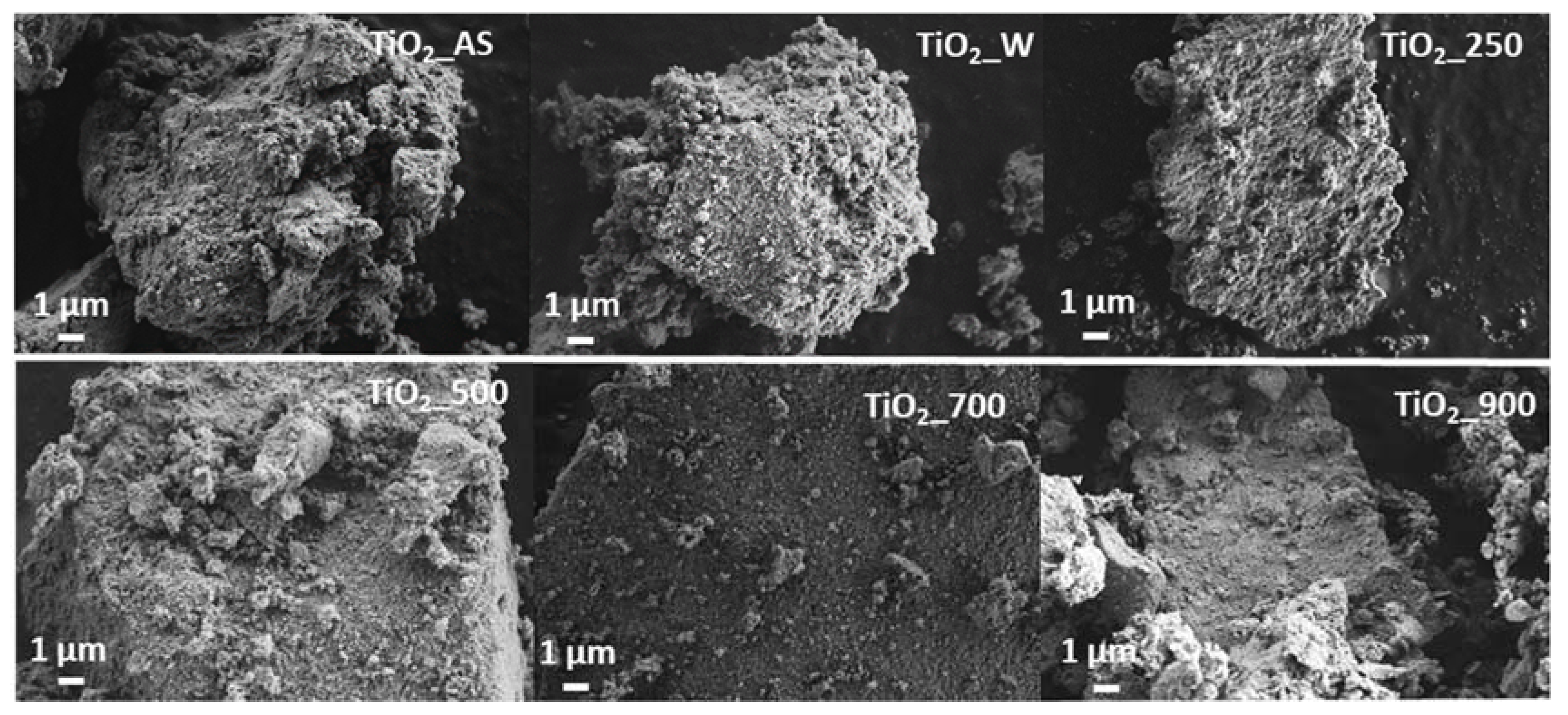 Molecules 22 02243 g006 Molecules 22 02243 g006