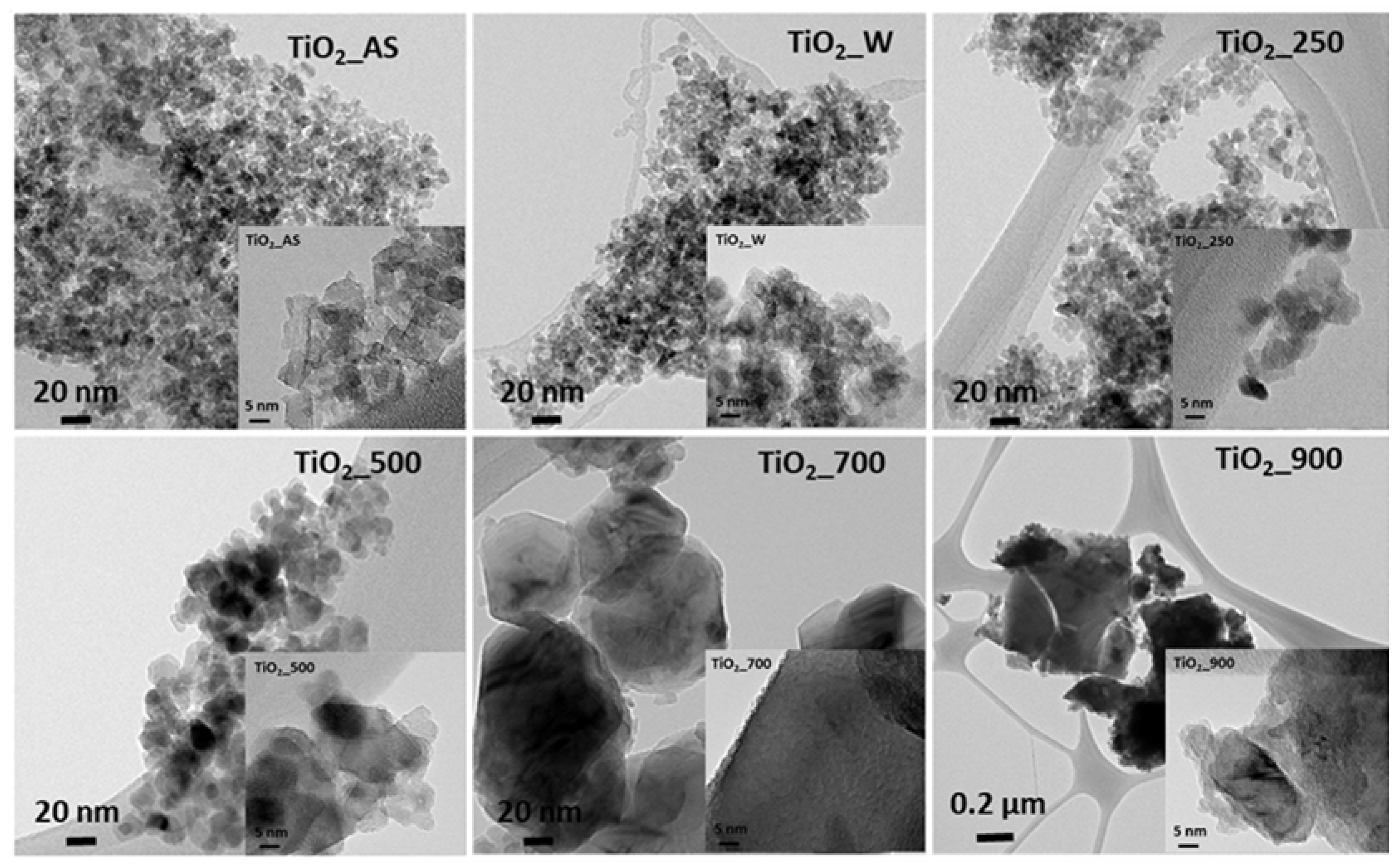 Molecules 22 02243 g007 Molecules 22 02243 g007