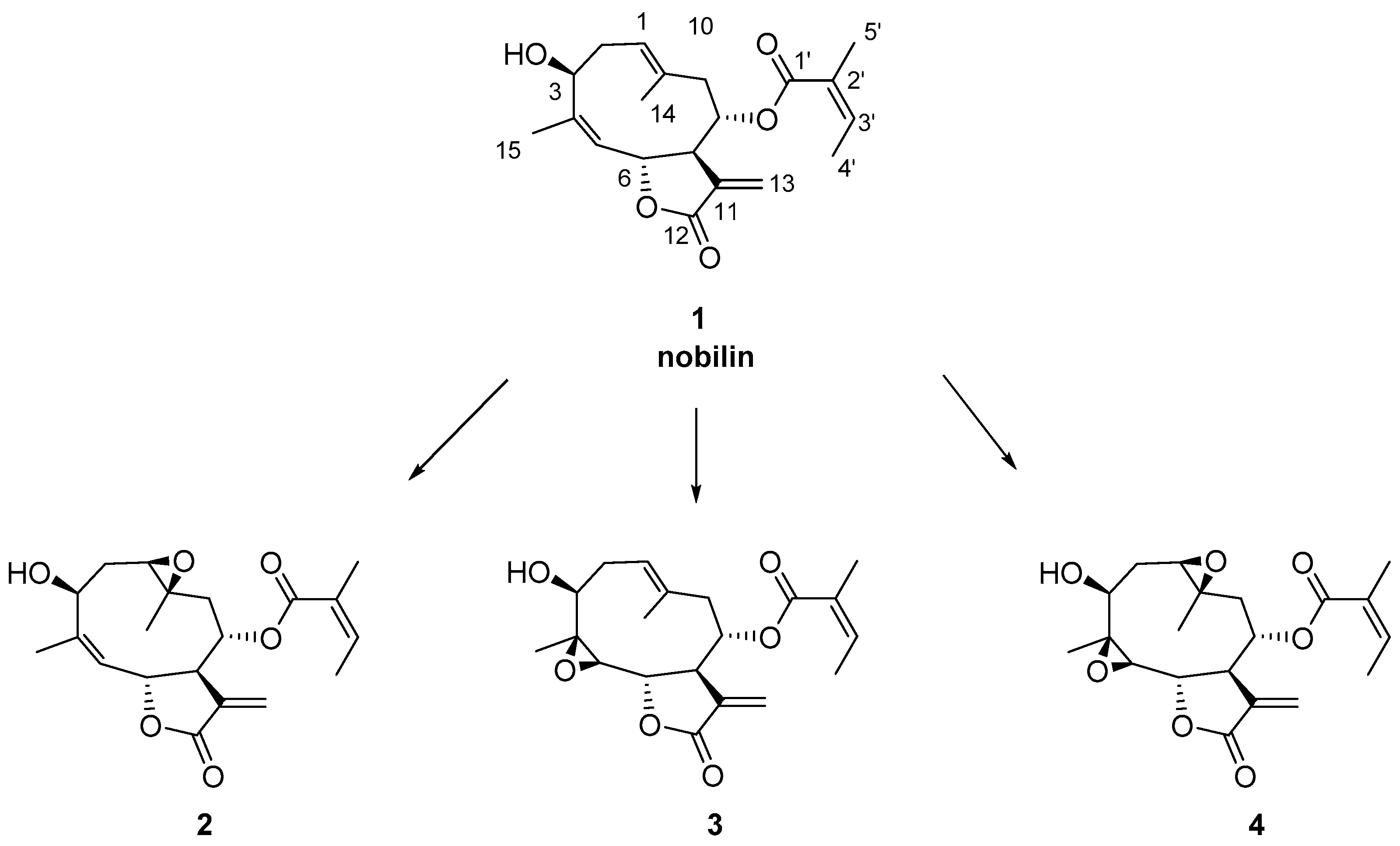 Molecules 22 02252 sch001 Molecules 22 02252 sch001