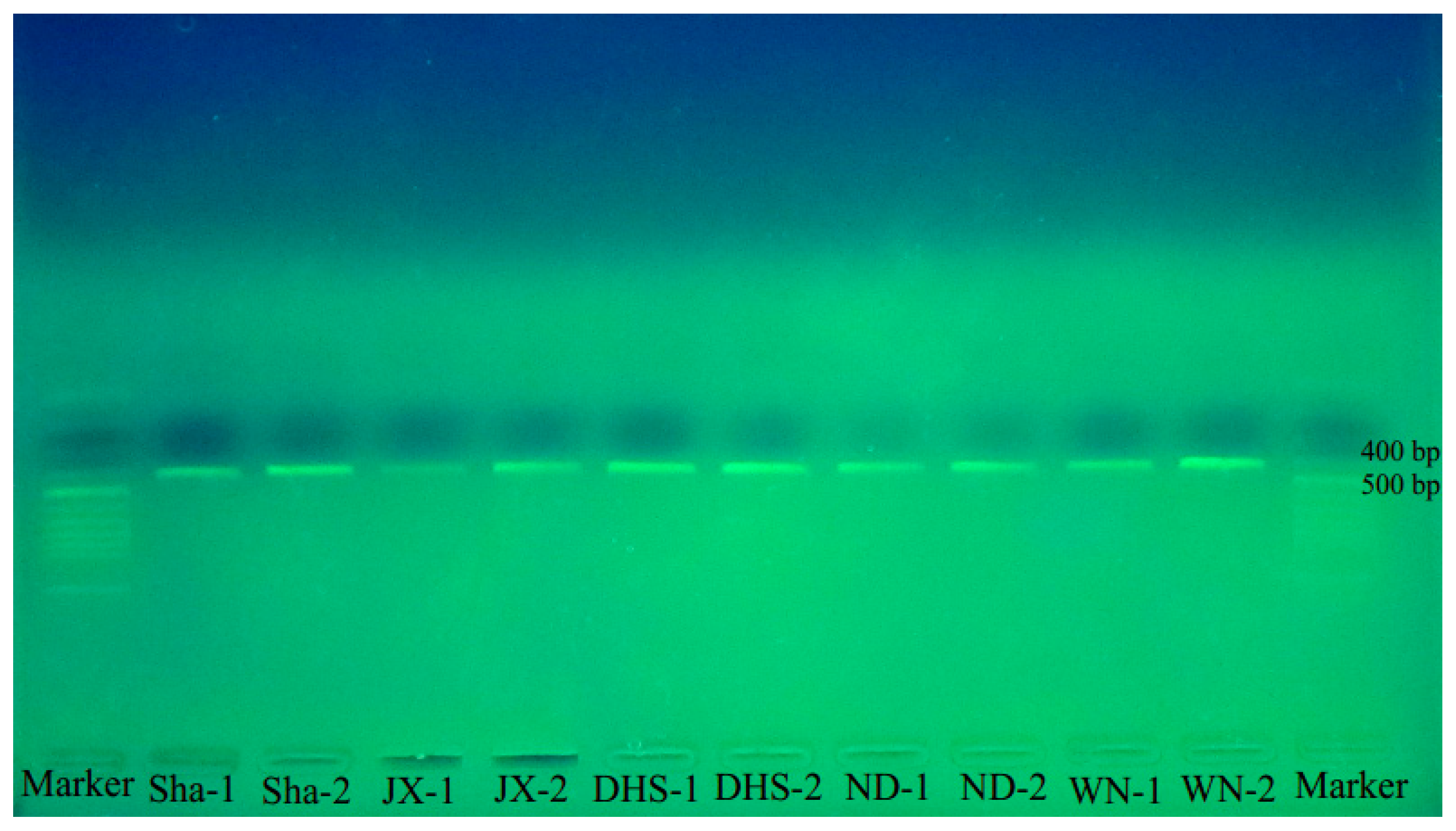 Molecules 22 02261 g003