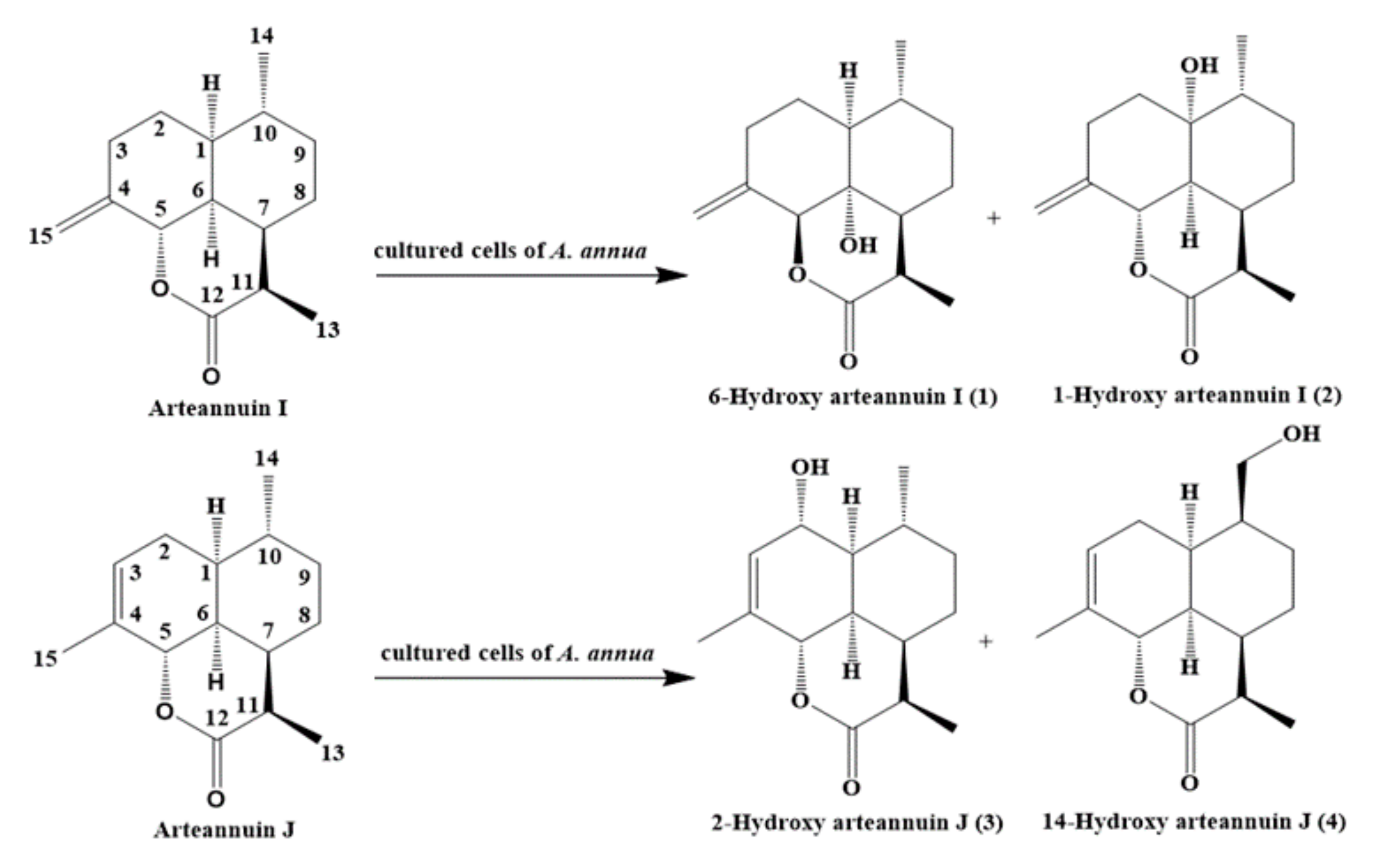 Molecules 22 02264 g007