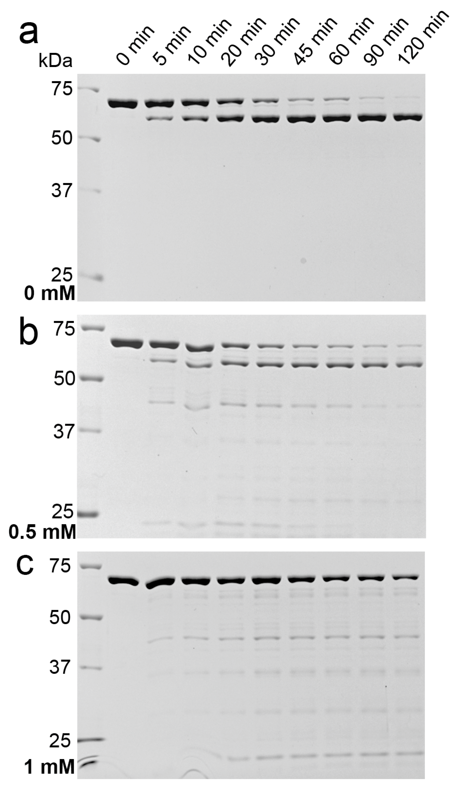 Molecules 22 02272 g006