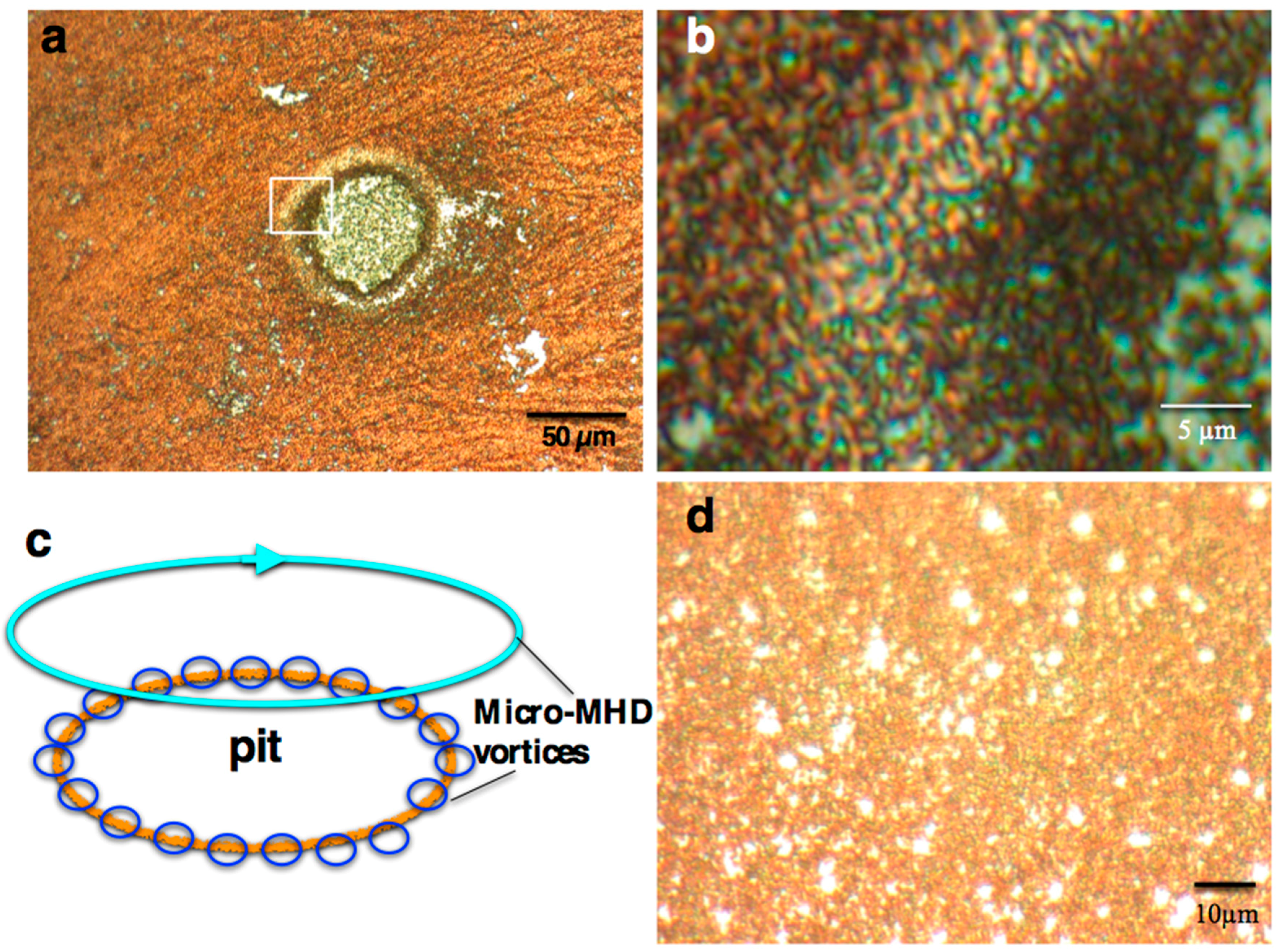 Molecules 23 00019 g002
