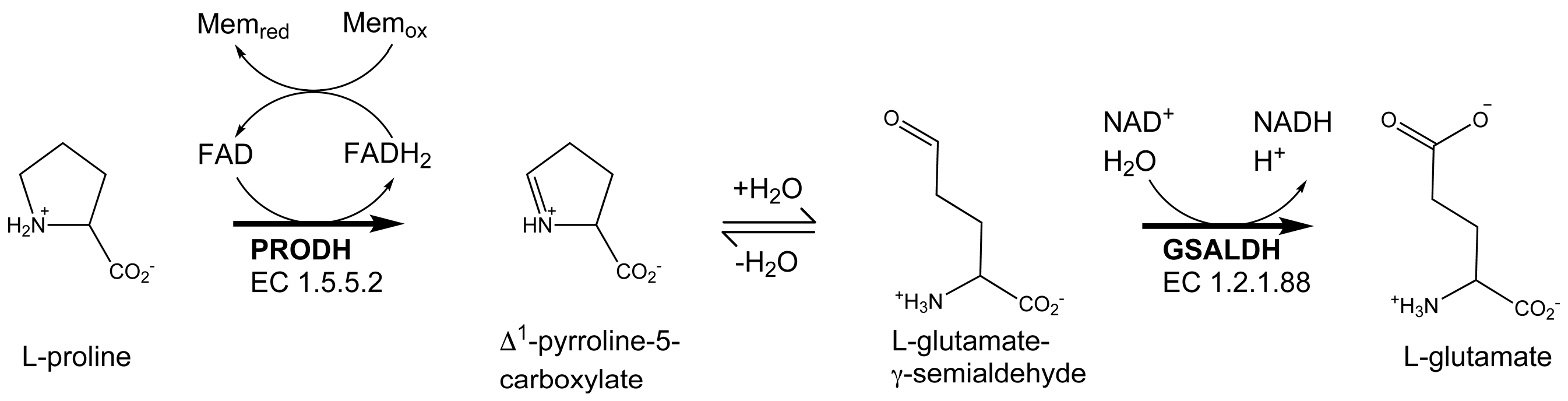 Molecules 23 00032 g001