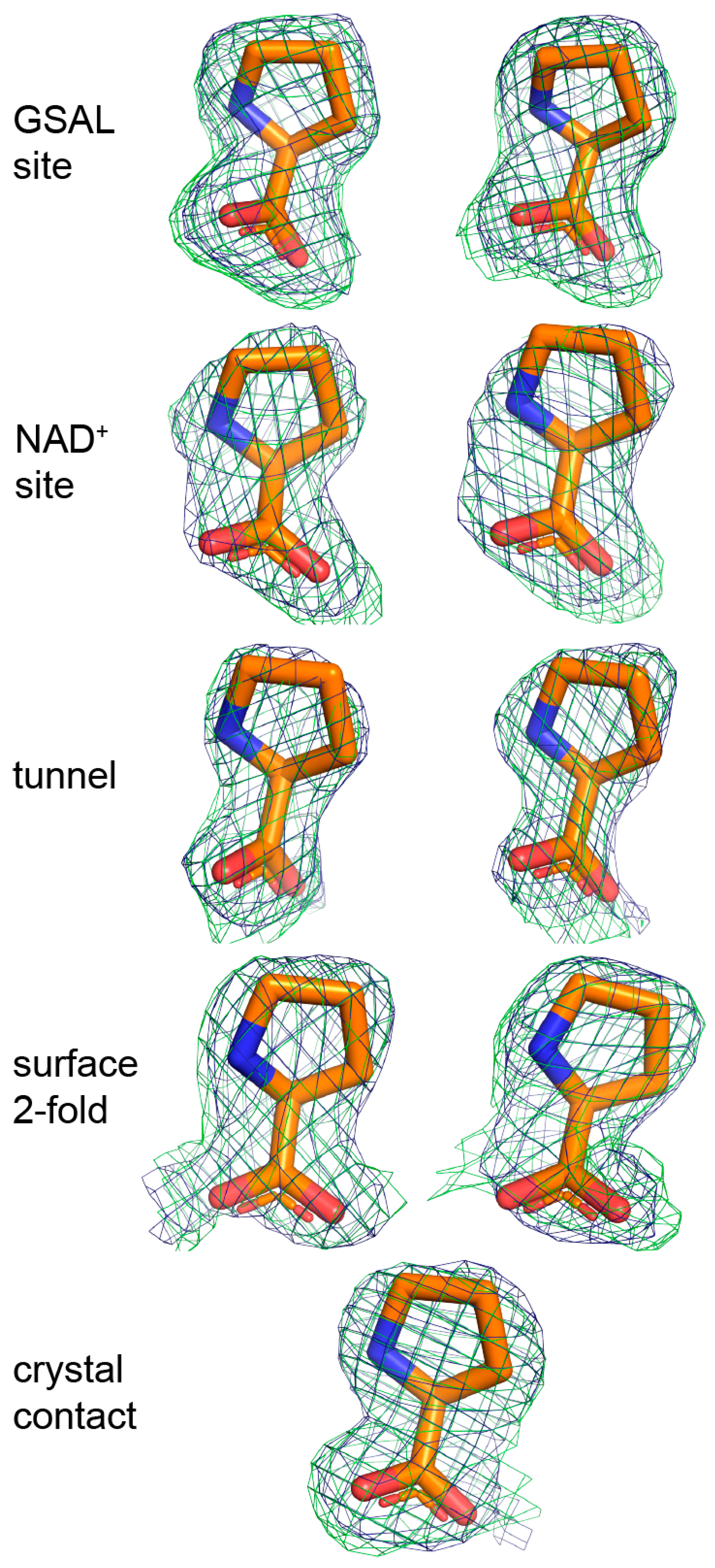 Molecules 23 00032 g004