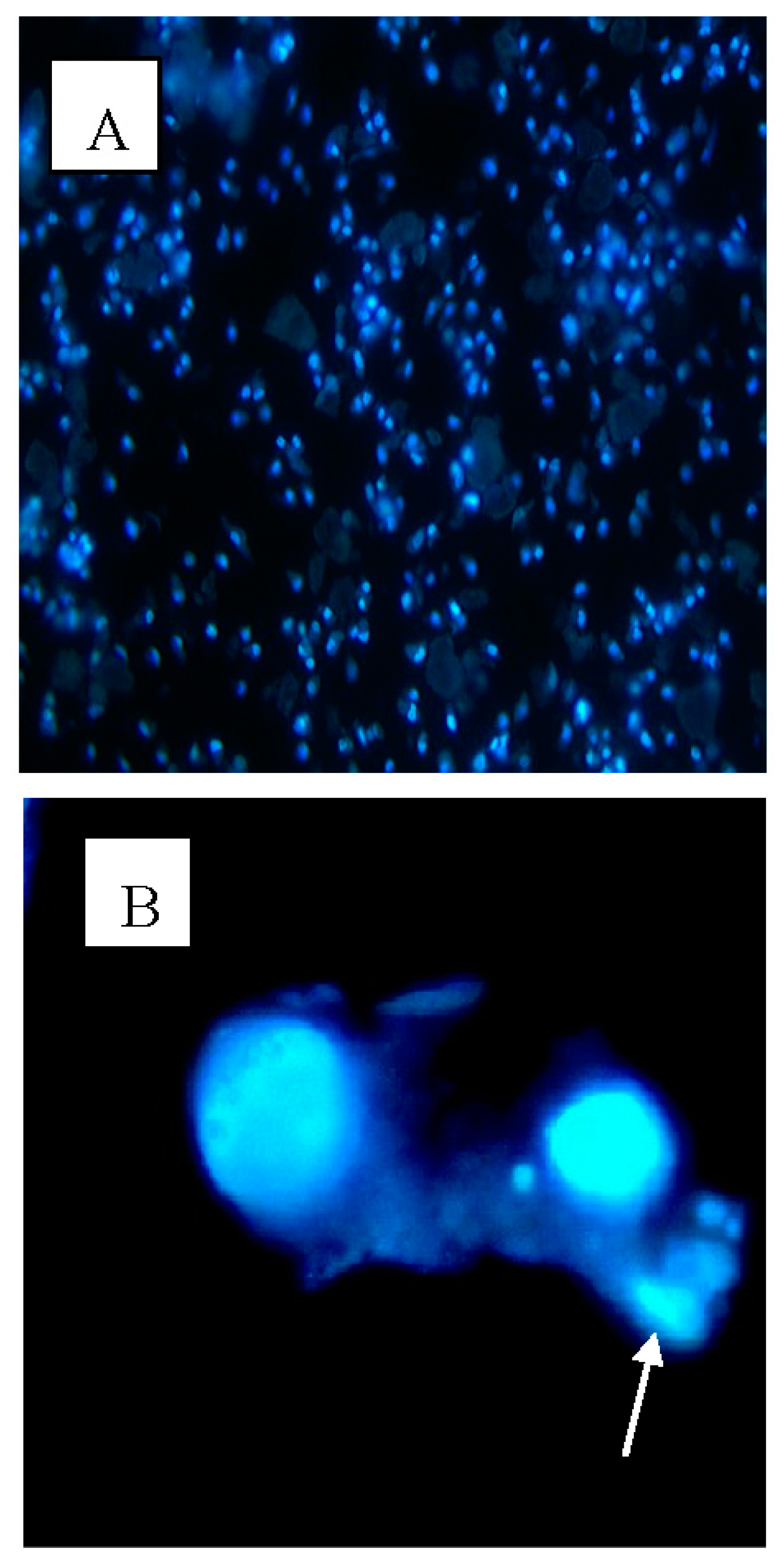 Molecules 23 00110 g004 550
