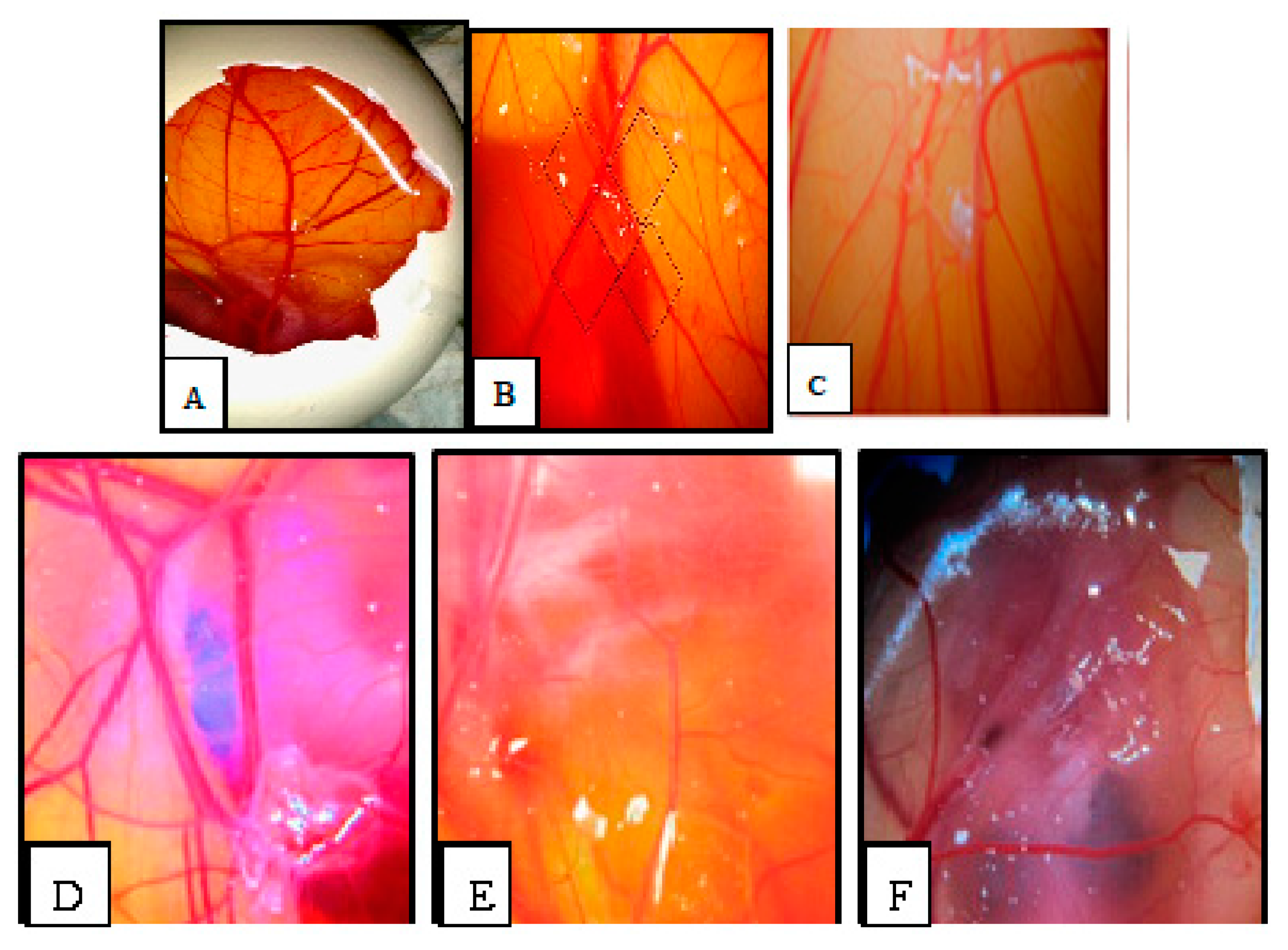 Molecules 23 00110 g007 550