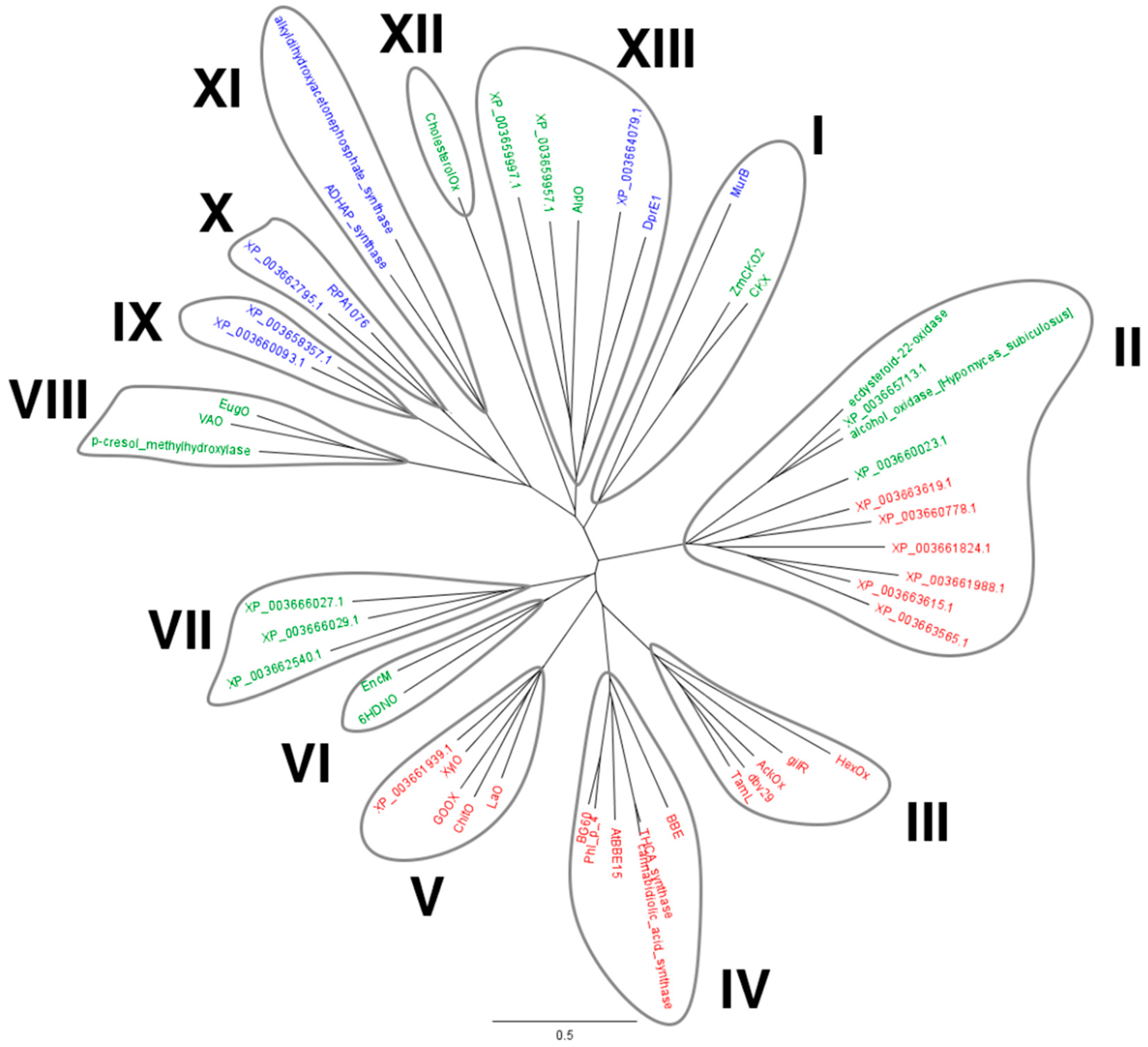 Molecules 23 00111 g001