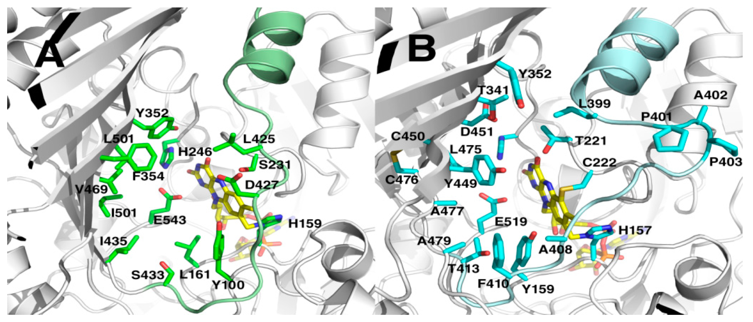 Molecules 23 00111 g003