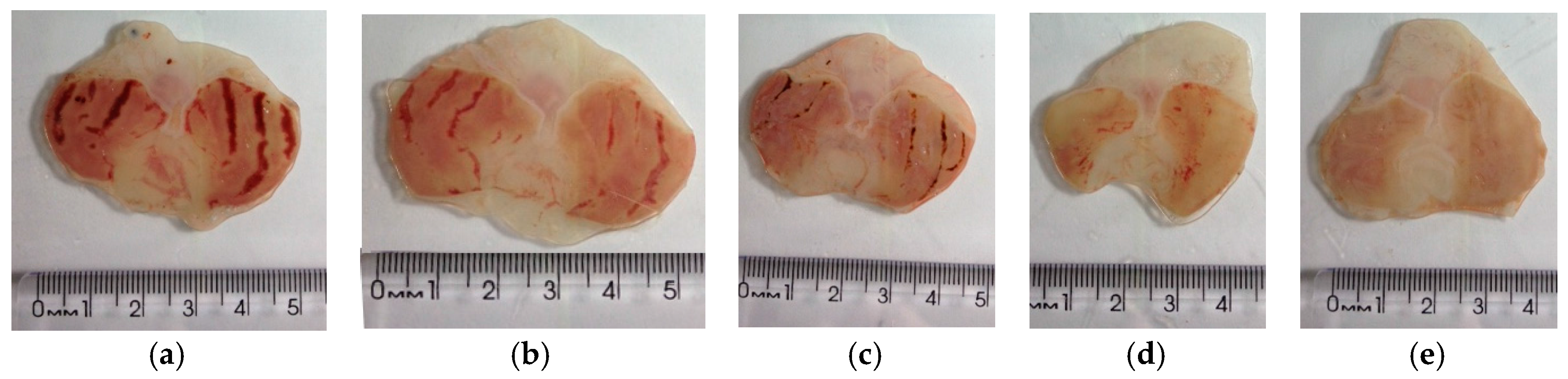 Molecules 23 00112 g004