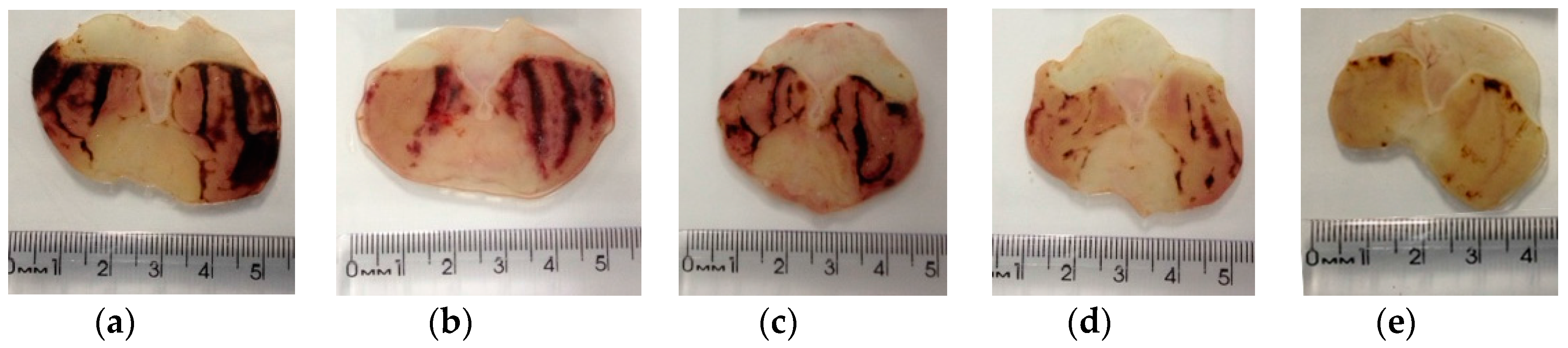 Molecules 23 00112 g006