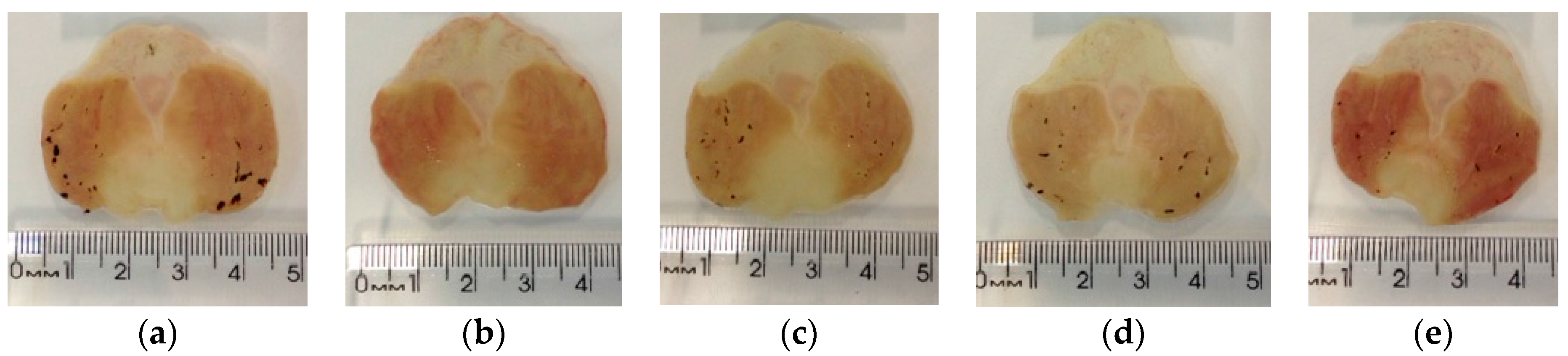 Molecules 23 00112 g008