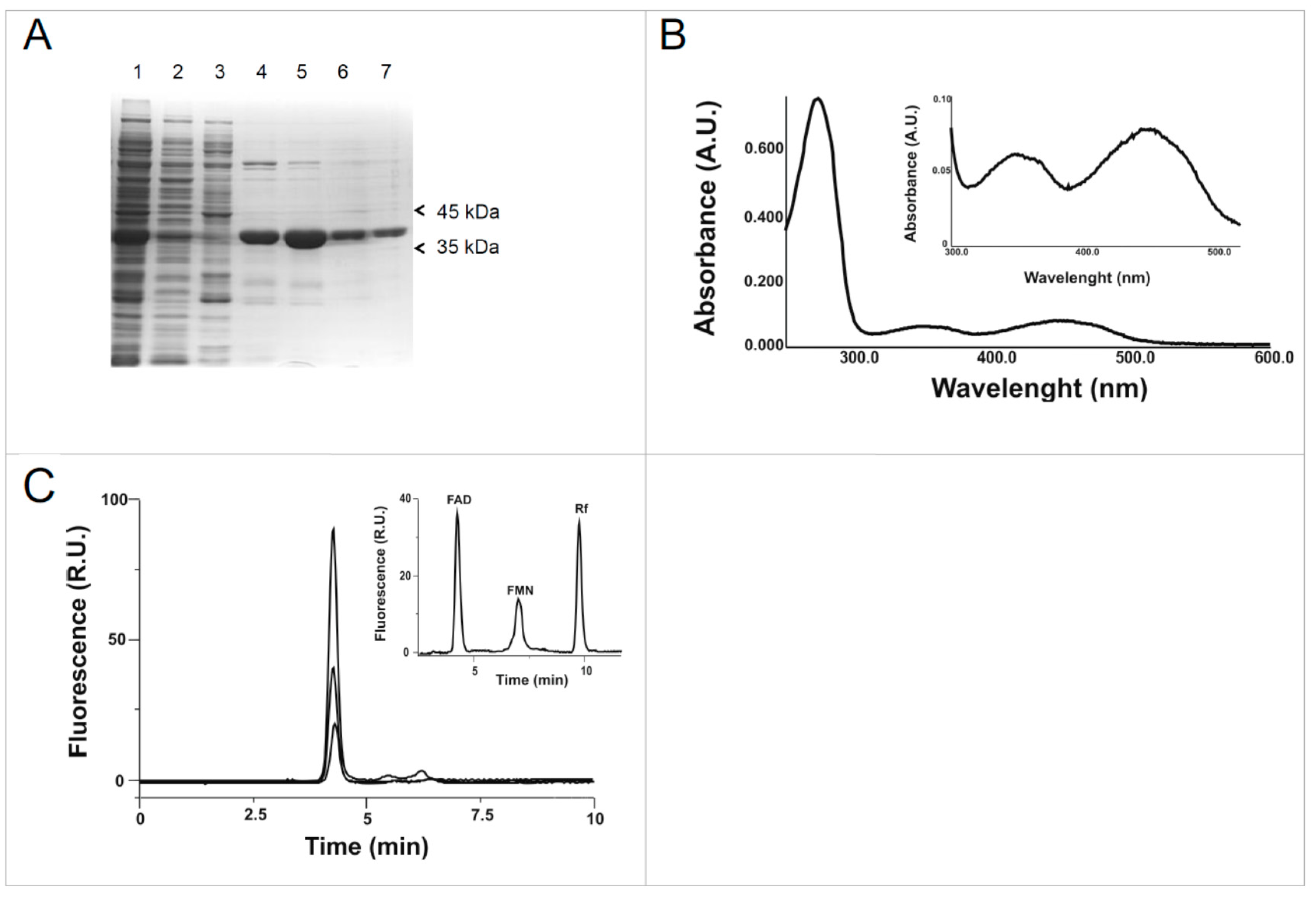 Molecules 23 00116 g003 Molecules 23 00116 g003