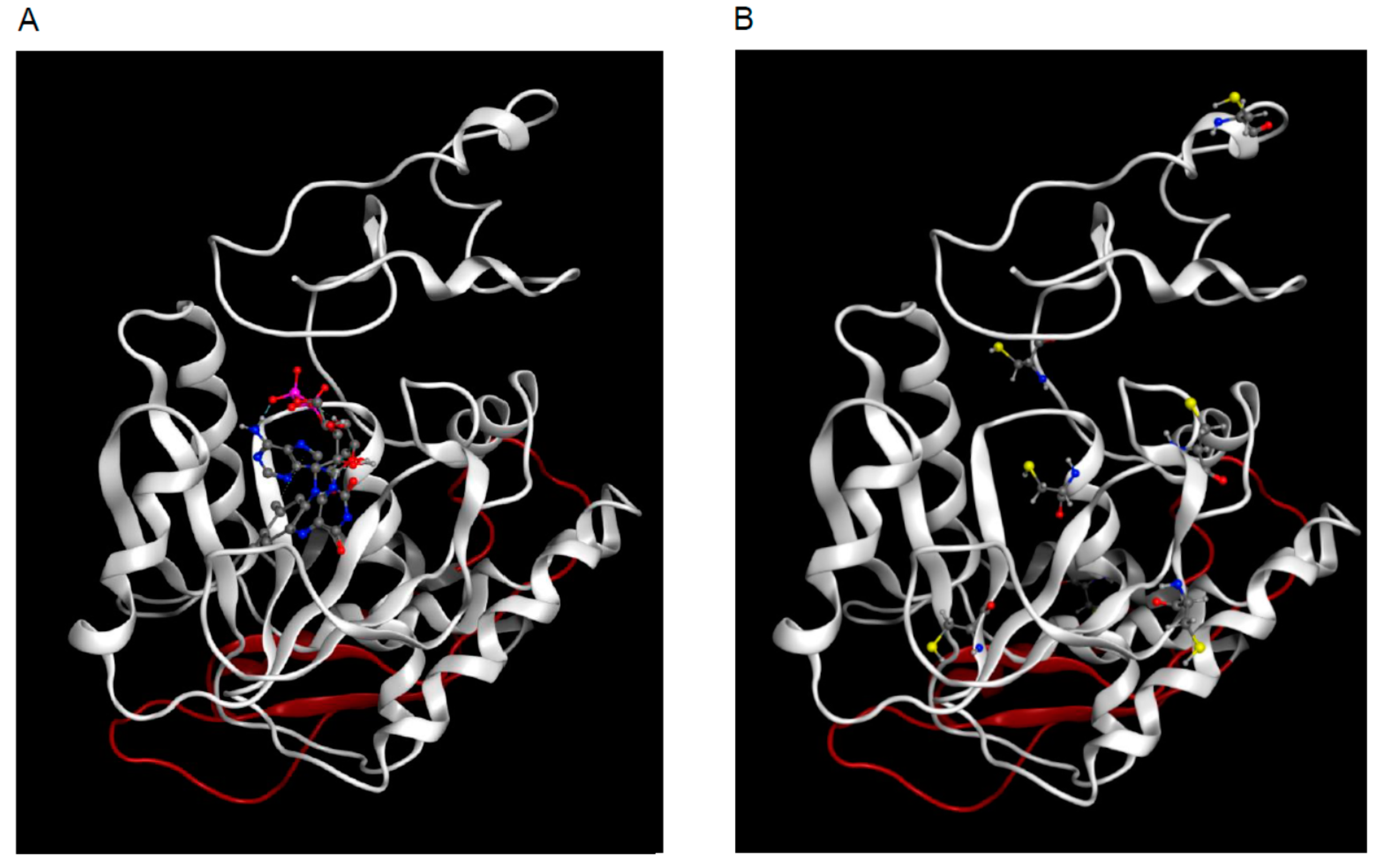 Molecules 23 00116 g007 Molecules 23 00116 g007