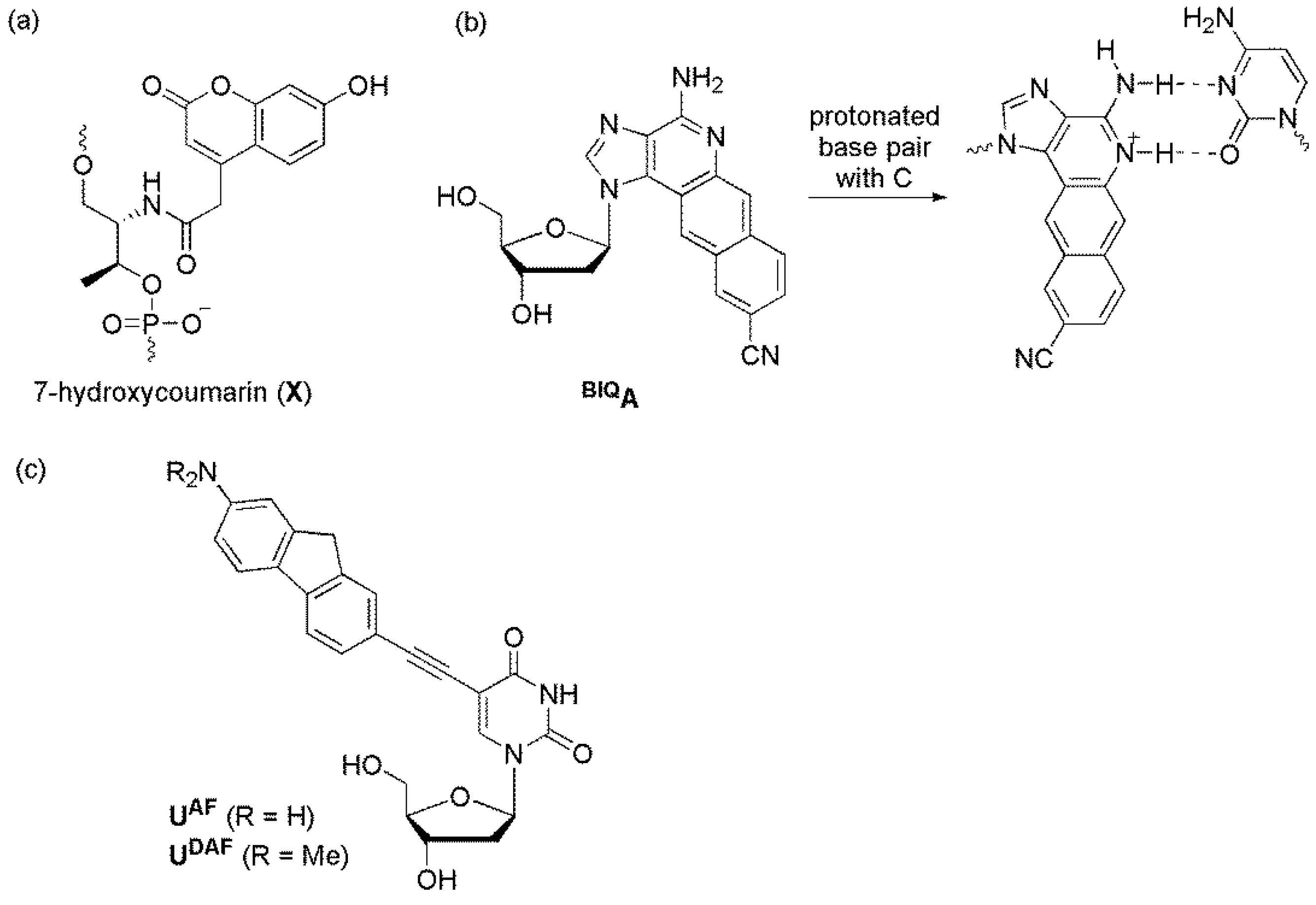 Molecules 23 00124 g017