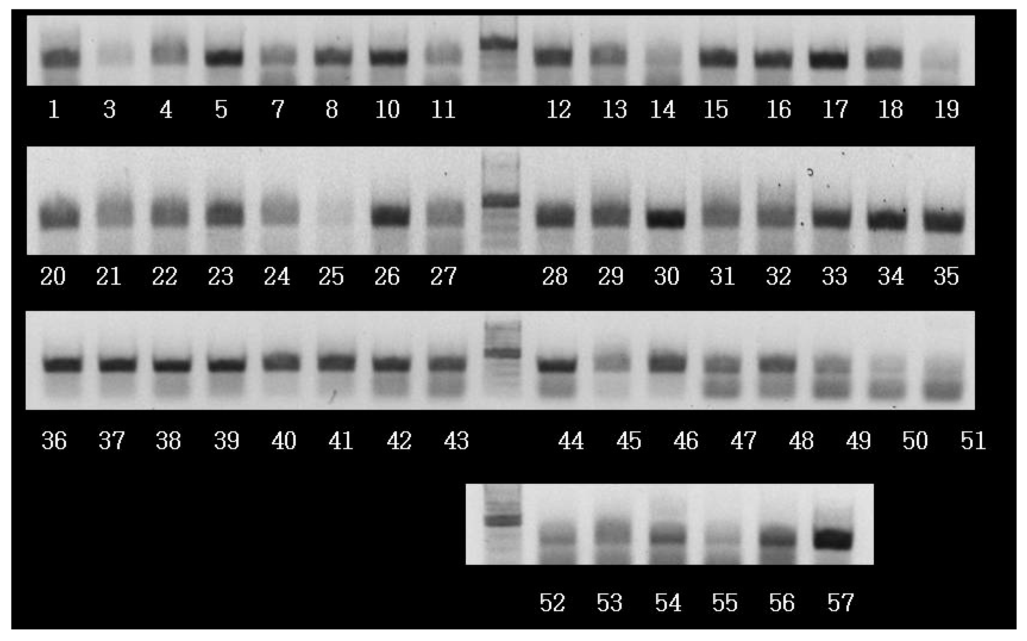 Molecules 23 00131 g003