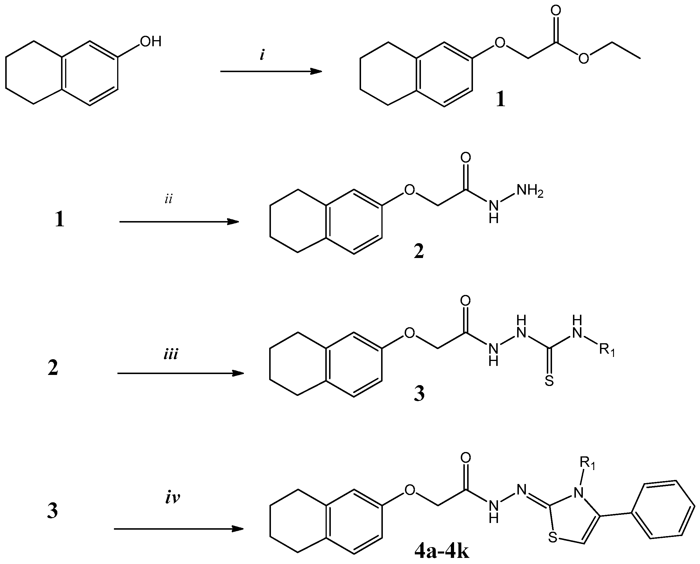 Molecules Free Full Text New Thiazoline Tetralin Derivatives And Biological Activity Evaluation Html Molecules Free Full Text New Thiazoline Tetralin Derivatives And Biological Activity Evaluation Html