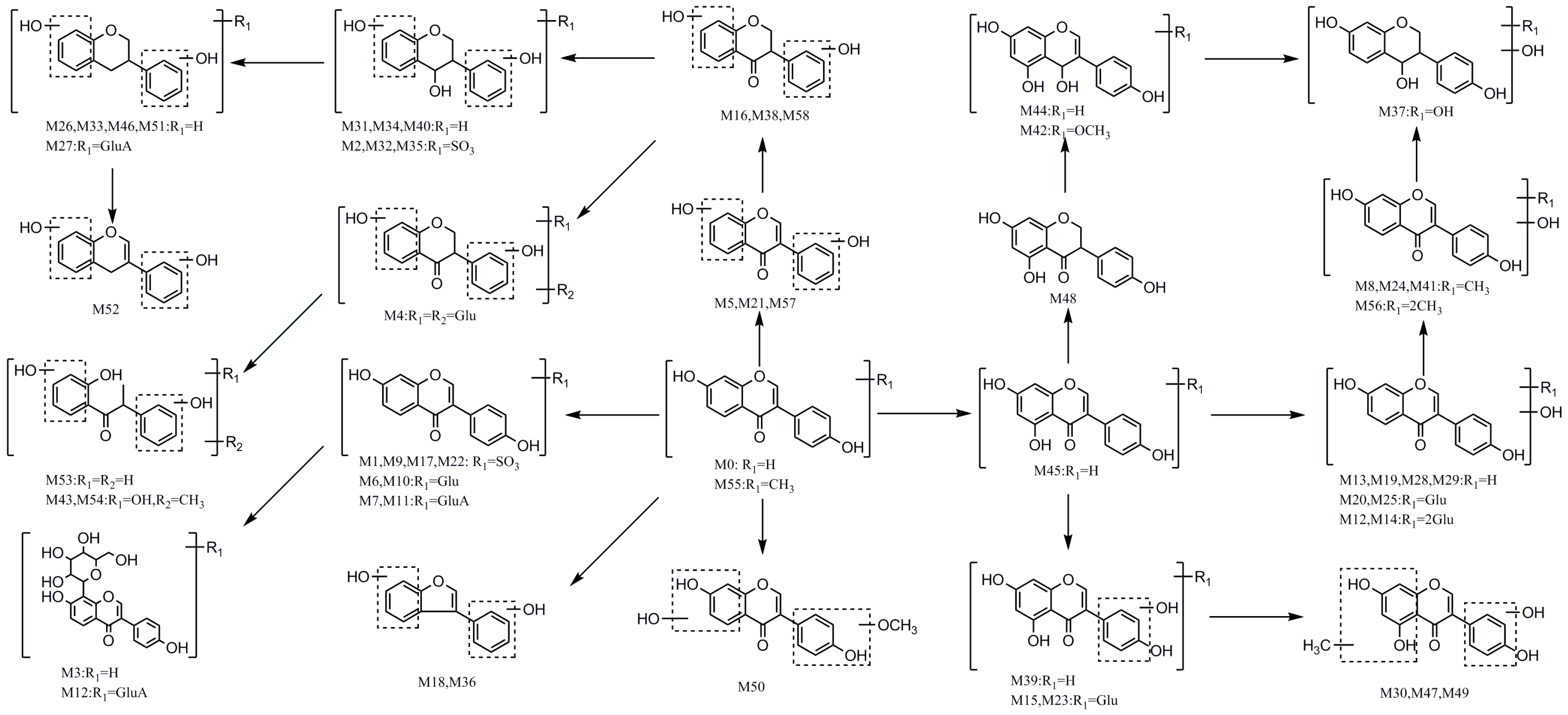 Molecules 23 00151 g005