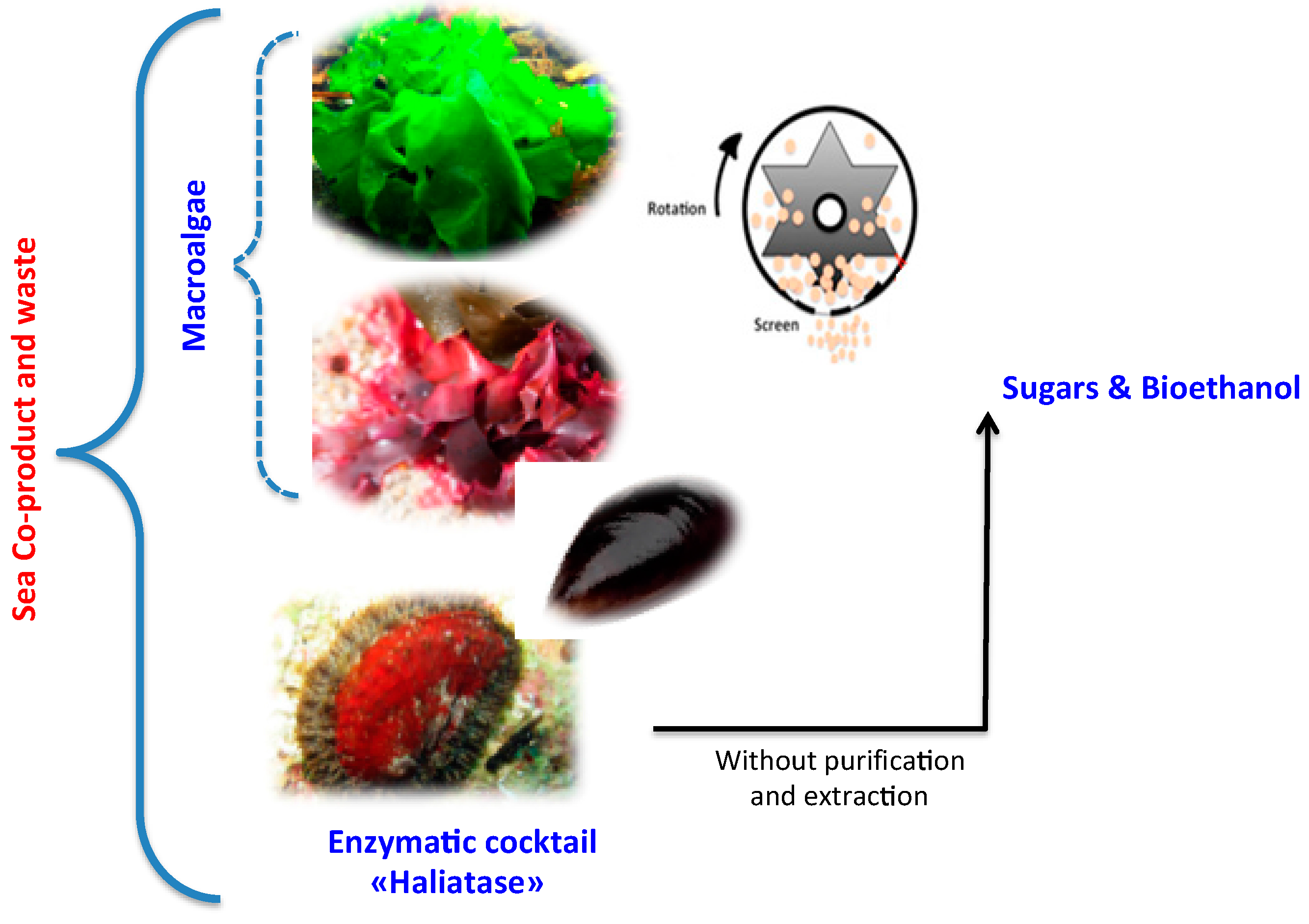Molecules 23 00174 g001