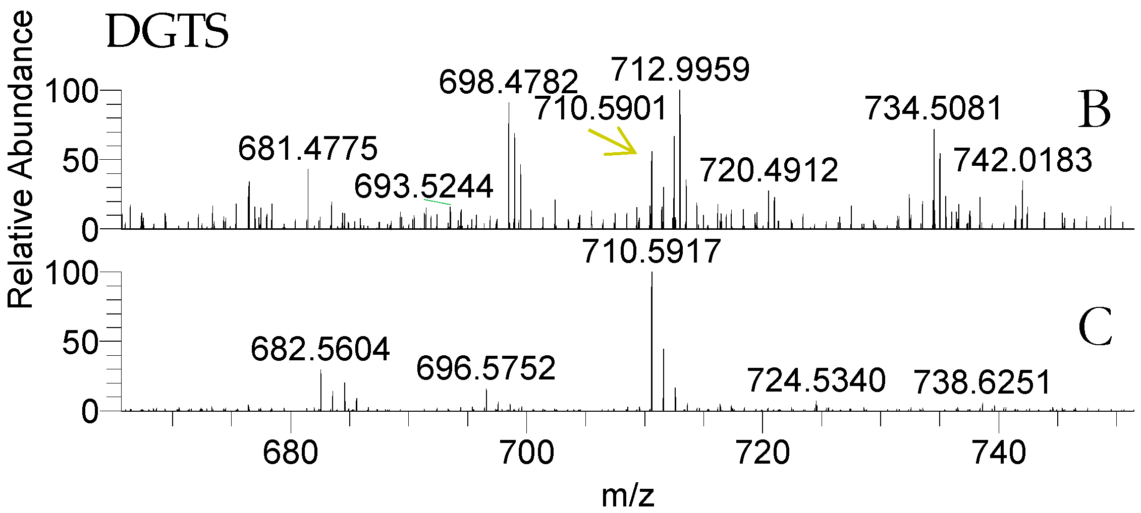 Molecules 23 00187 g004 Molecules 23 00187 g004