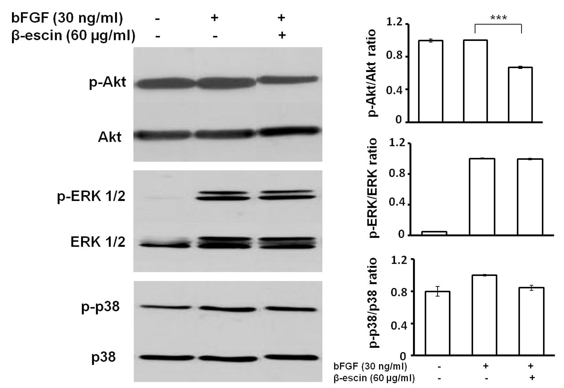 Molecules 23 00197 g005
