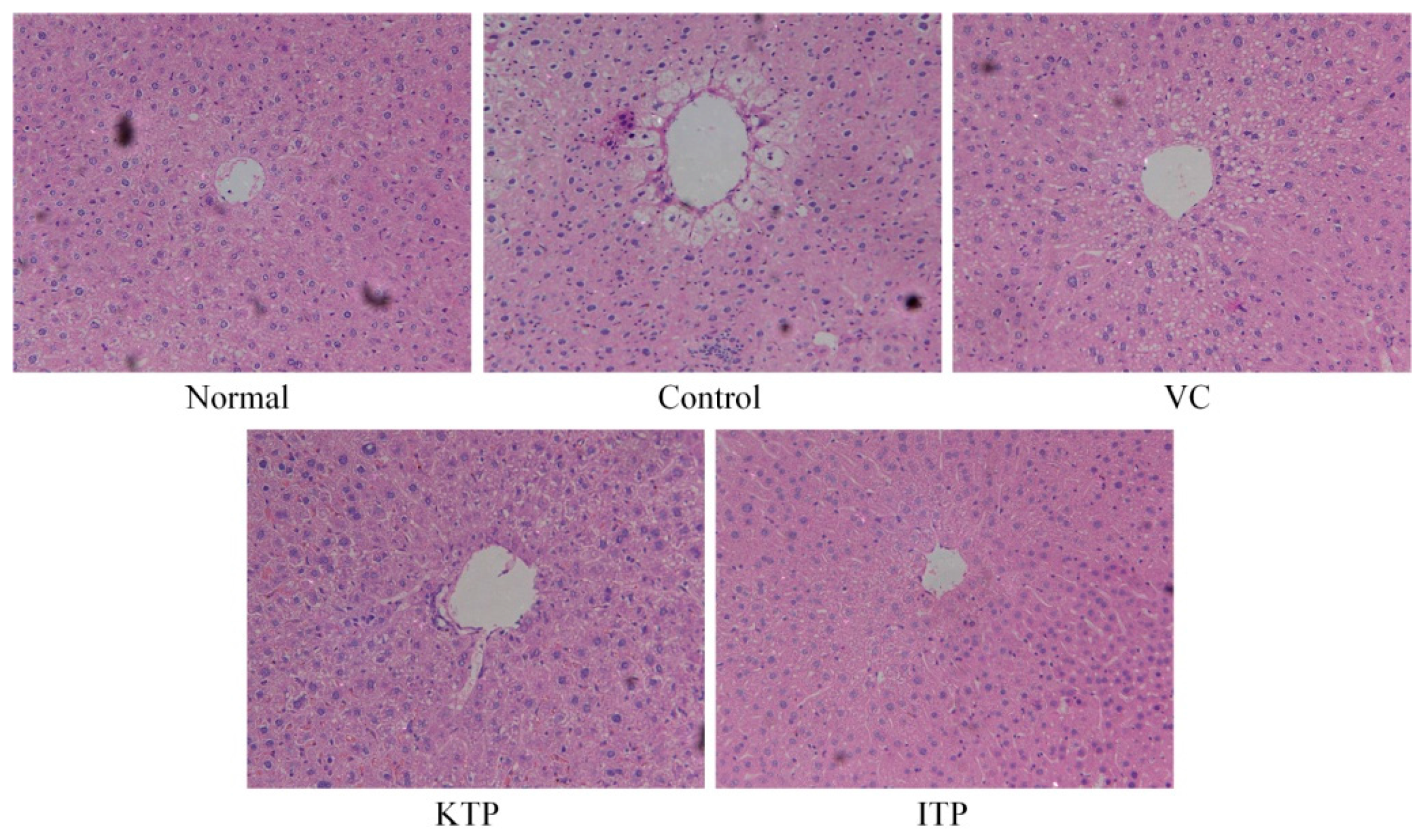 Molecules 23 00204 g002