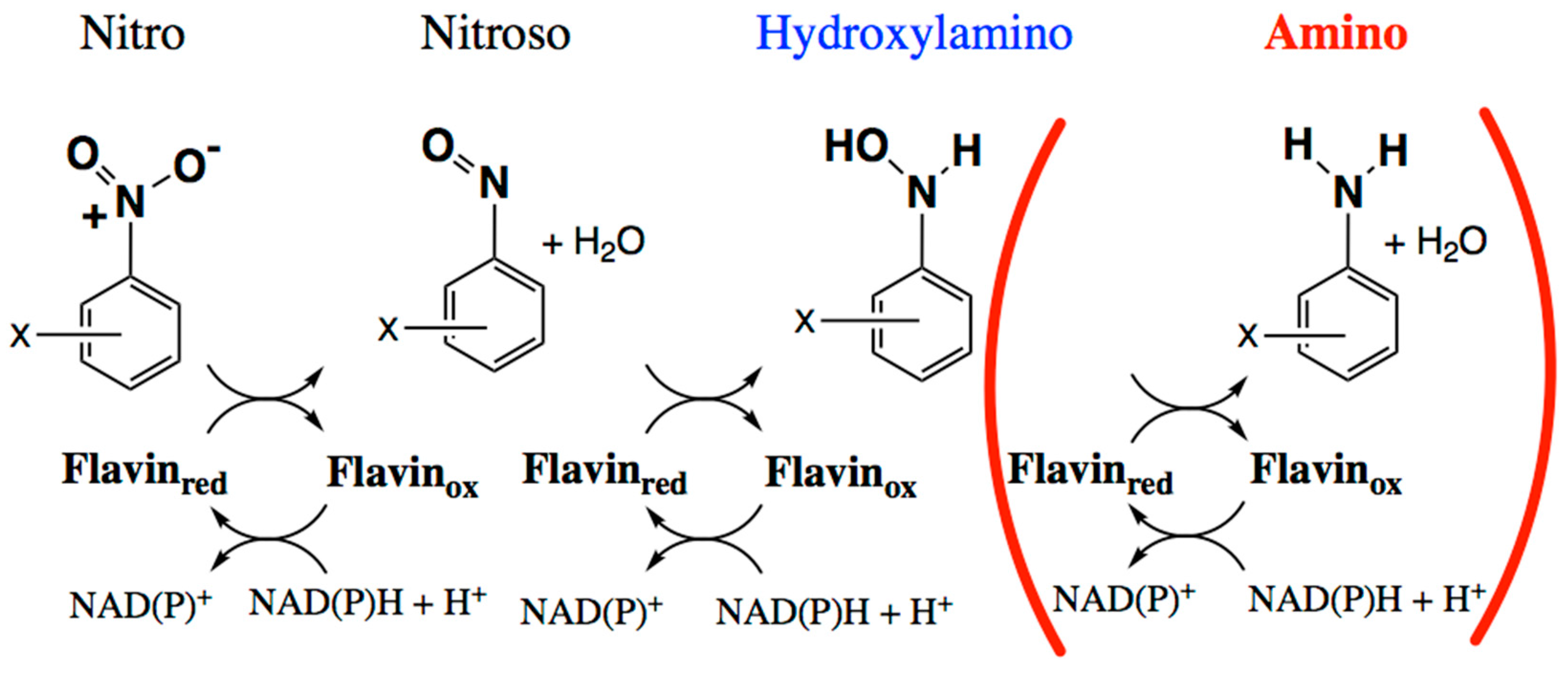 Molecules 23 00211 g001