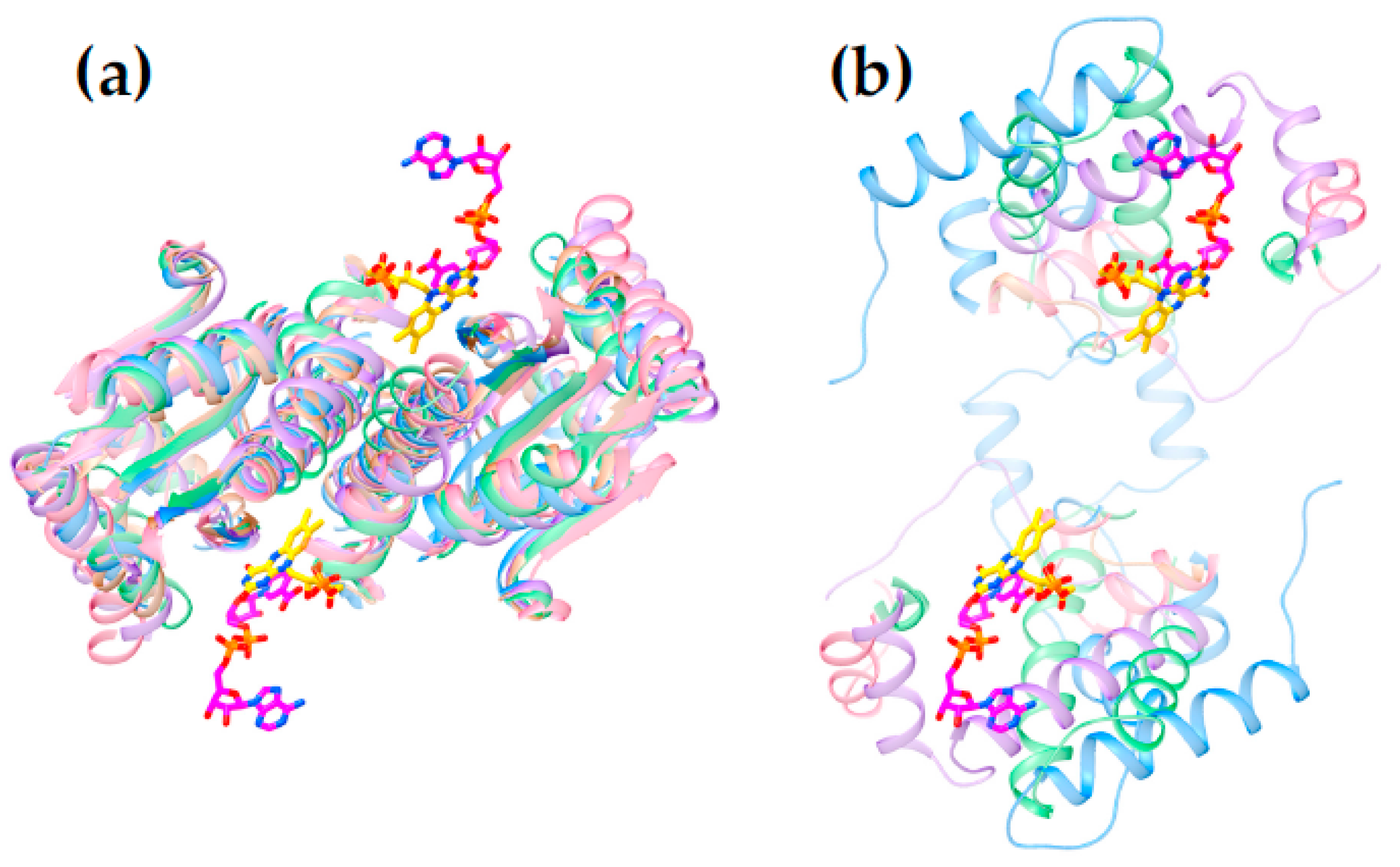 Molecules 23 00211 g004