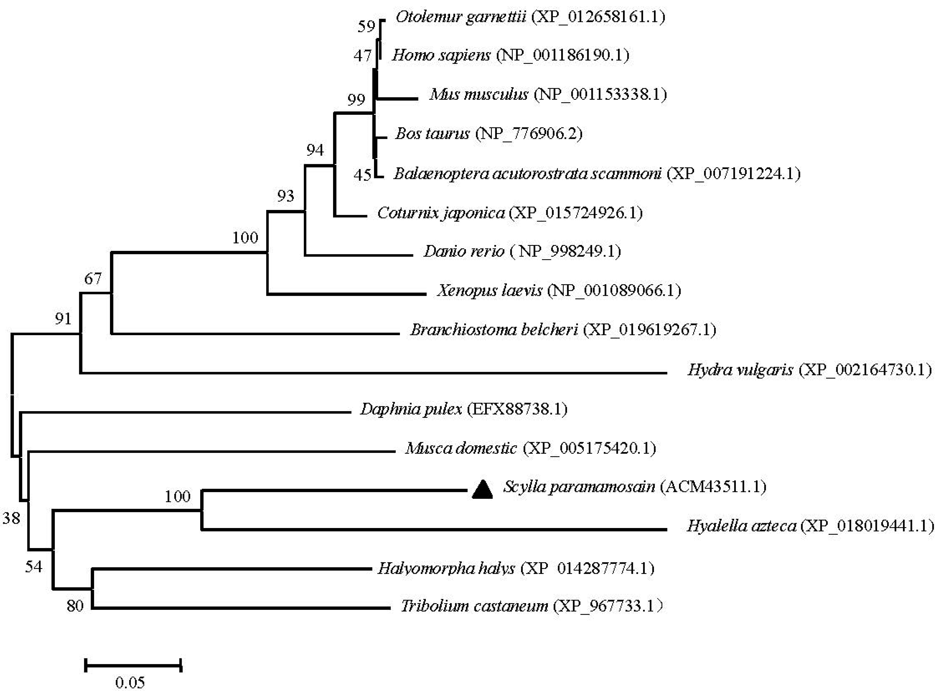 Molecules 23 00213 g006