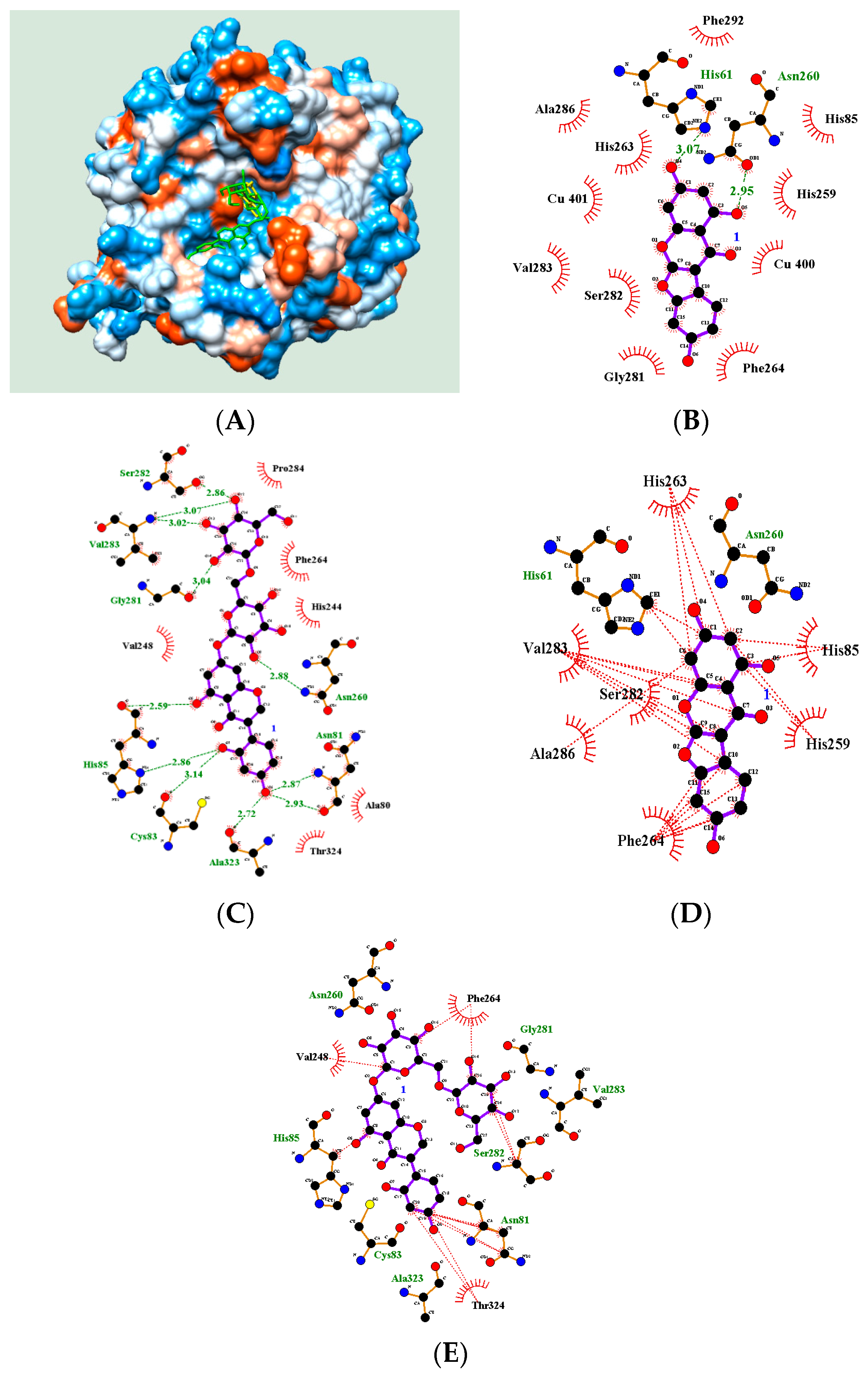 Molecules 23 00232 g004
