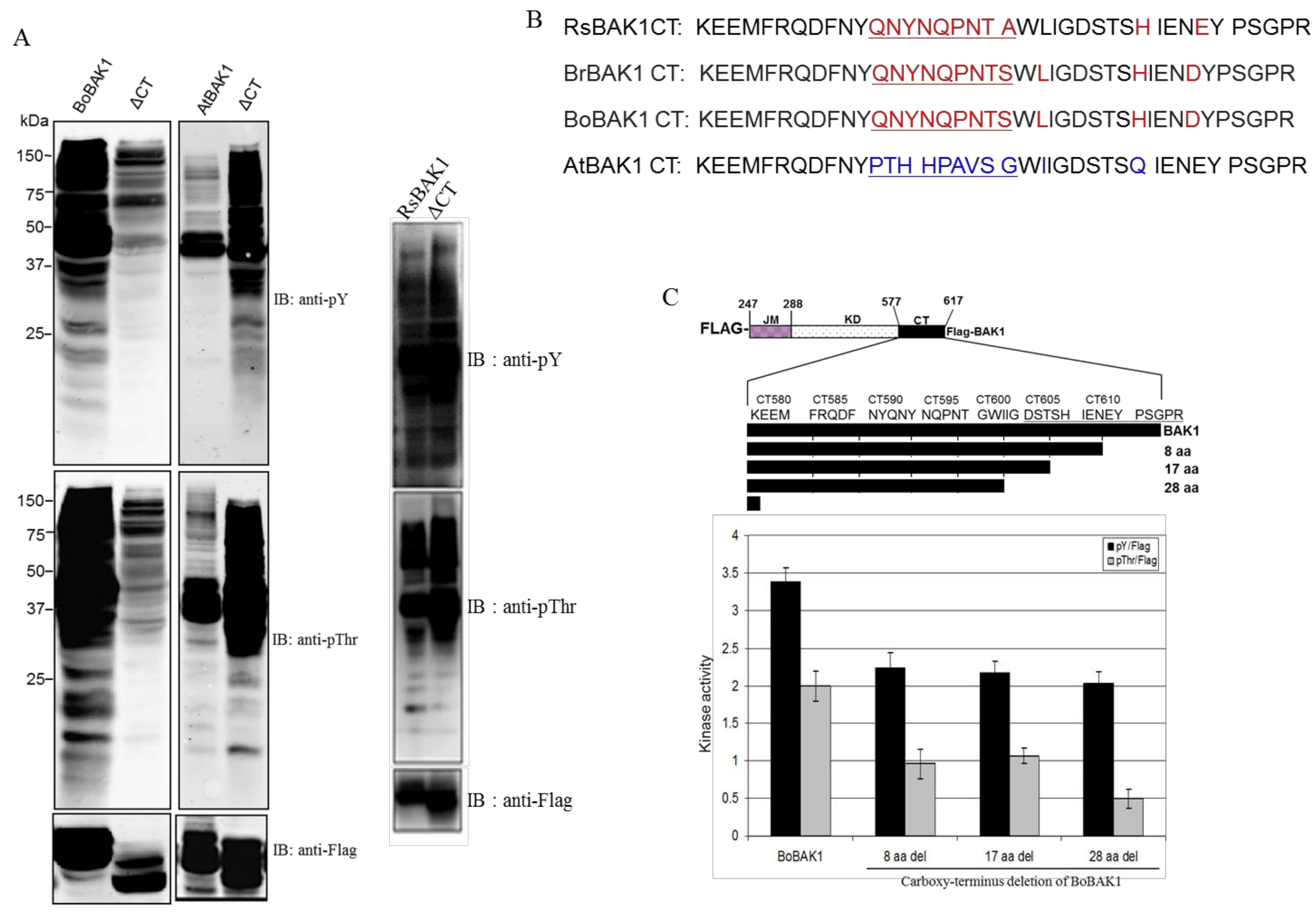 Molecules 23 00236 g005 550