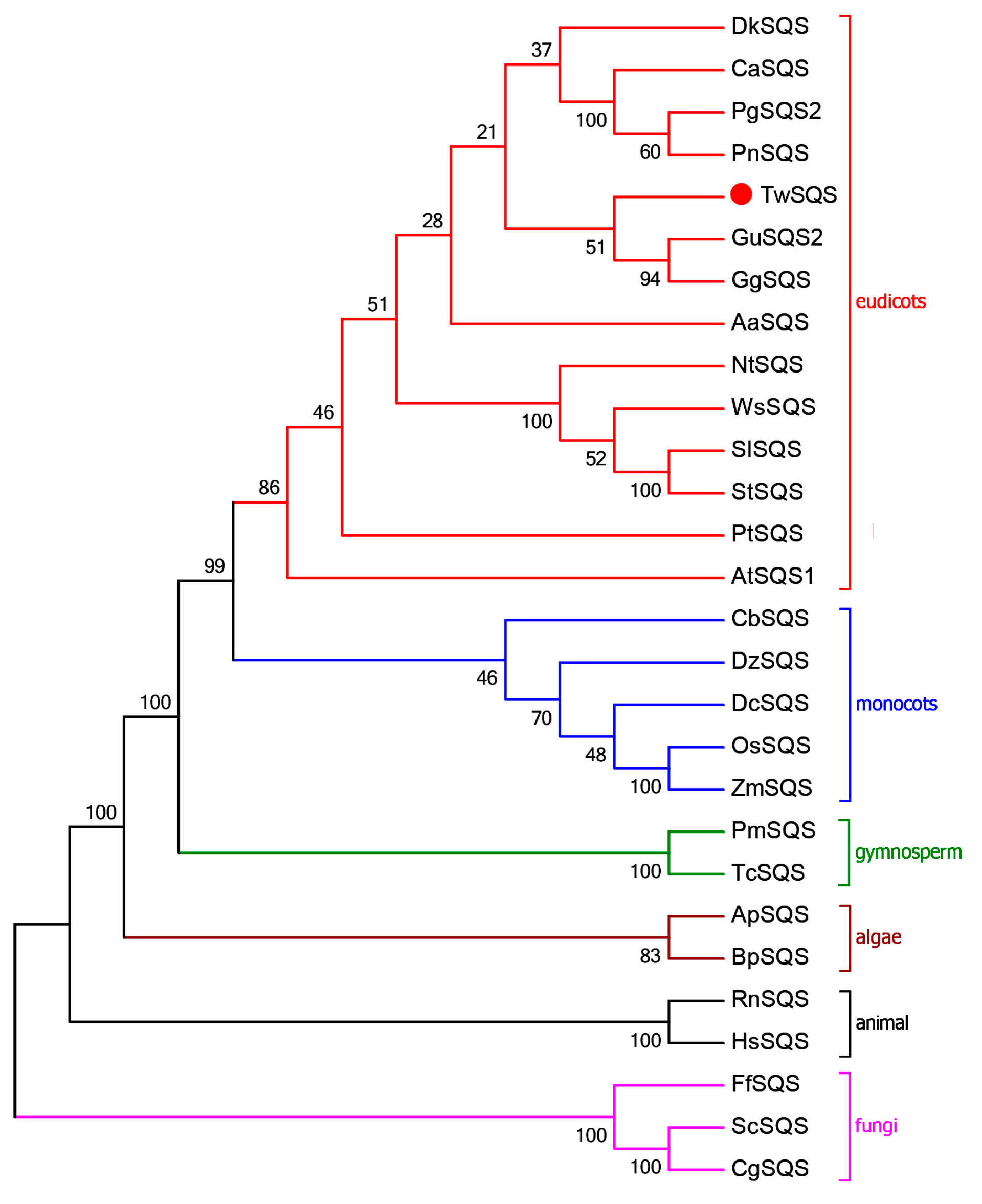 Molecules 23 00269 g002