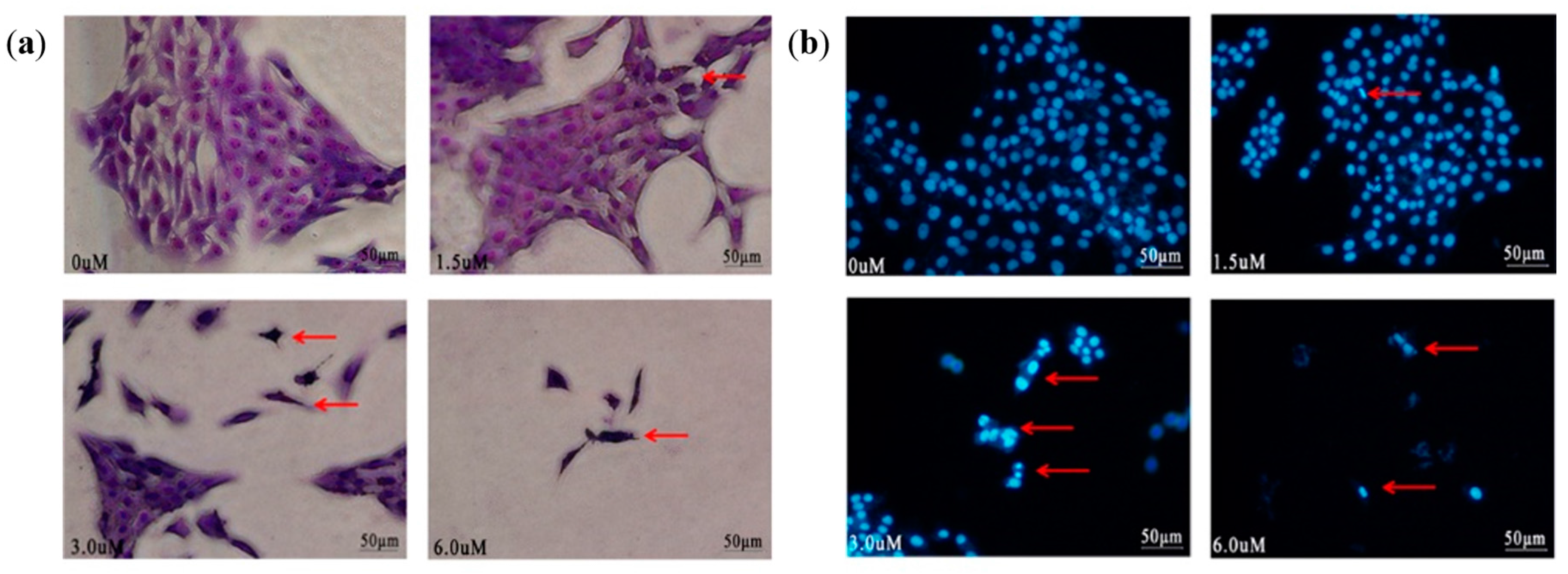Molecules 23 00322 g002