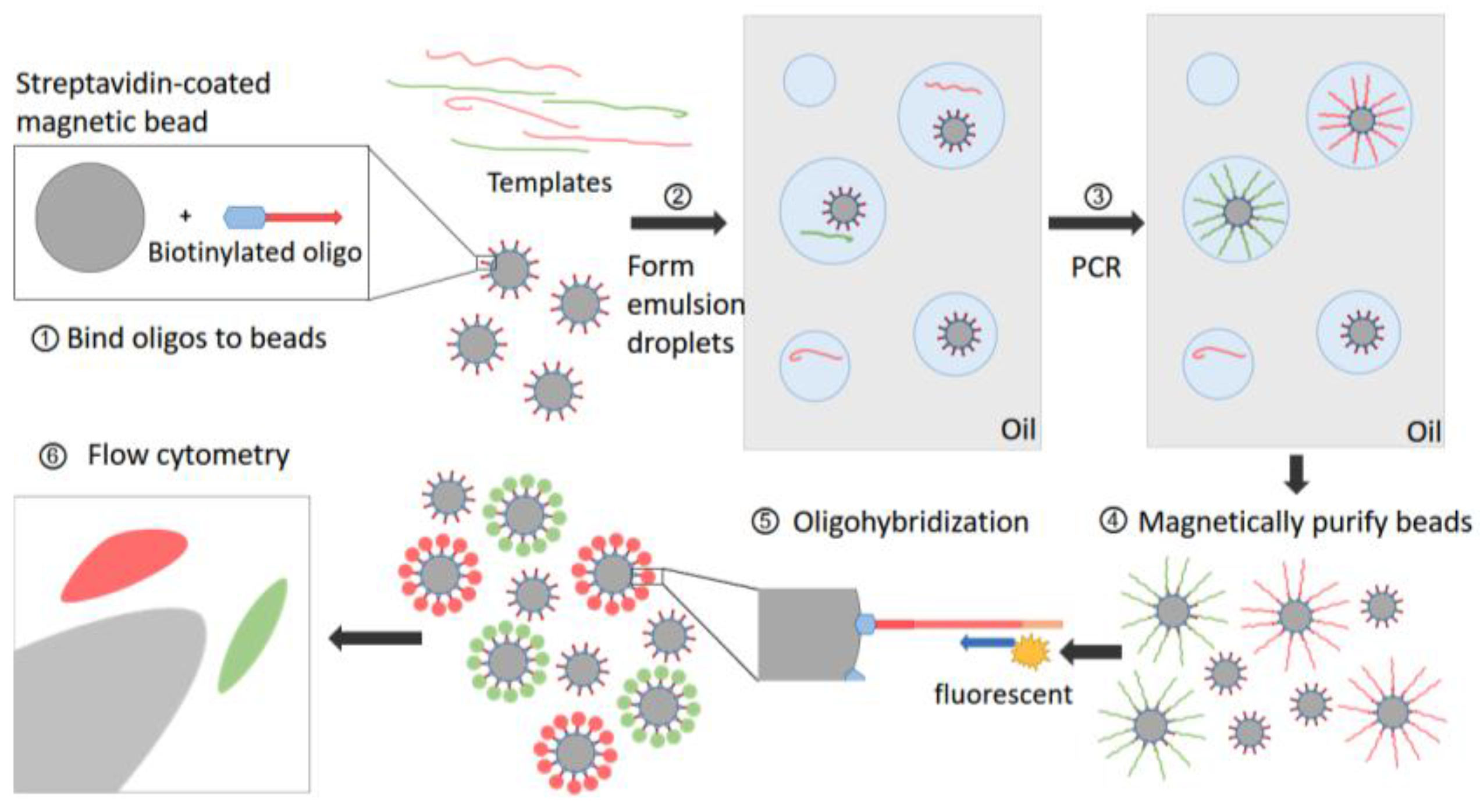 Molecules 23 00323 g005