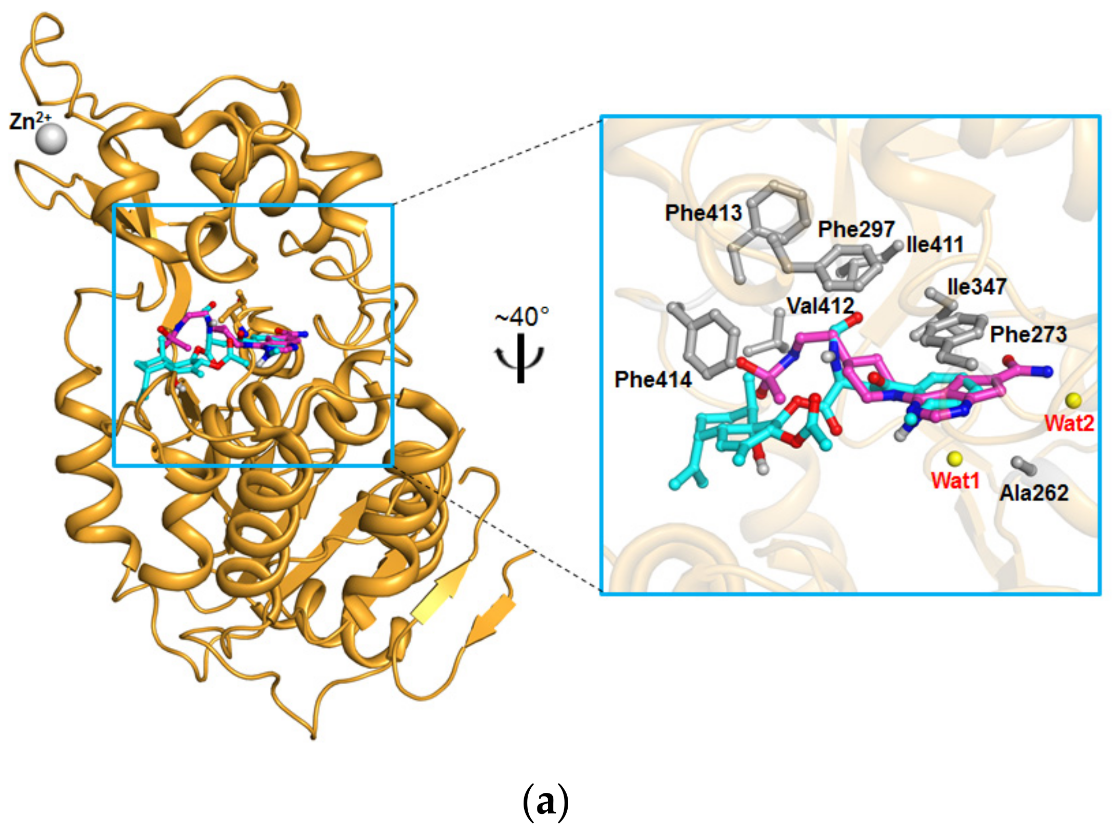 Molecules 23 00333 g004a