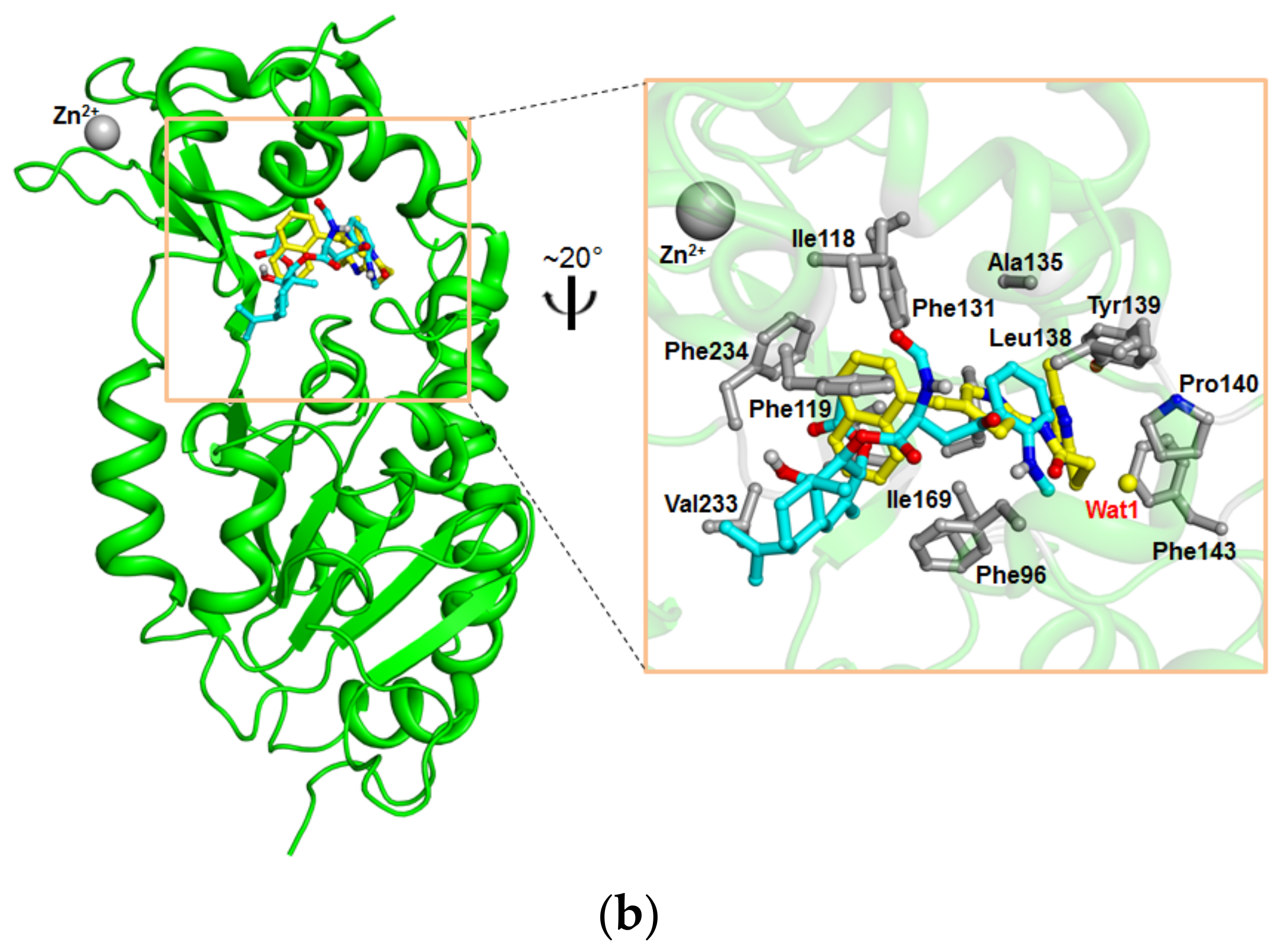 Molecules 23 00333 g004b