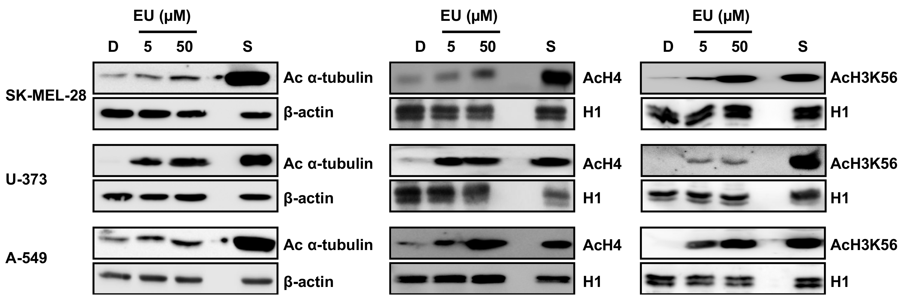 Molecules 23 00333 g005