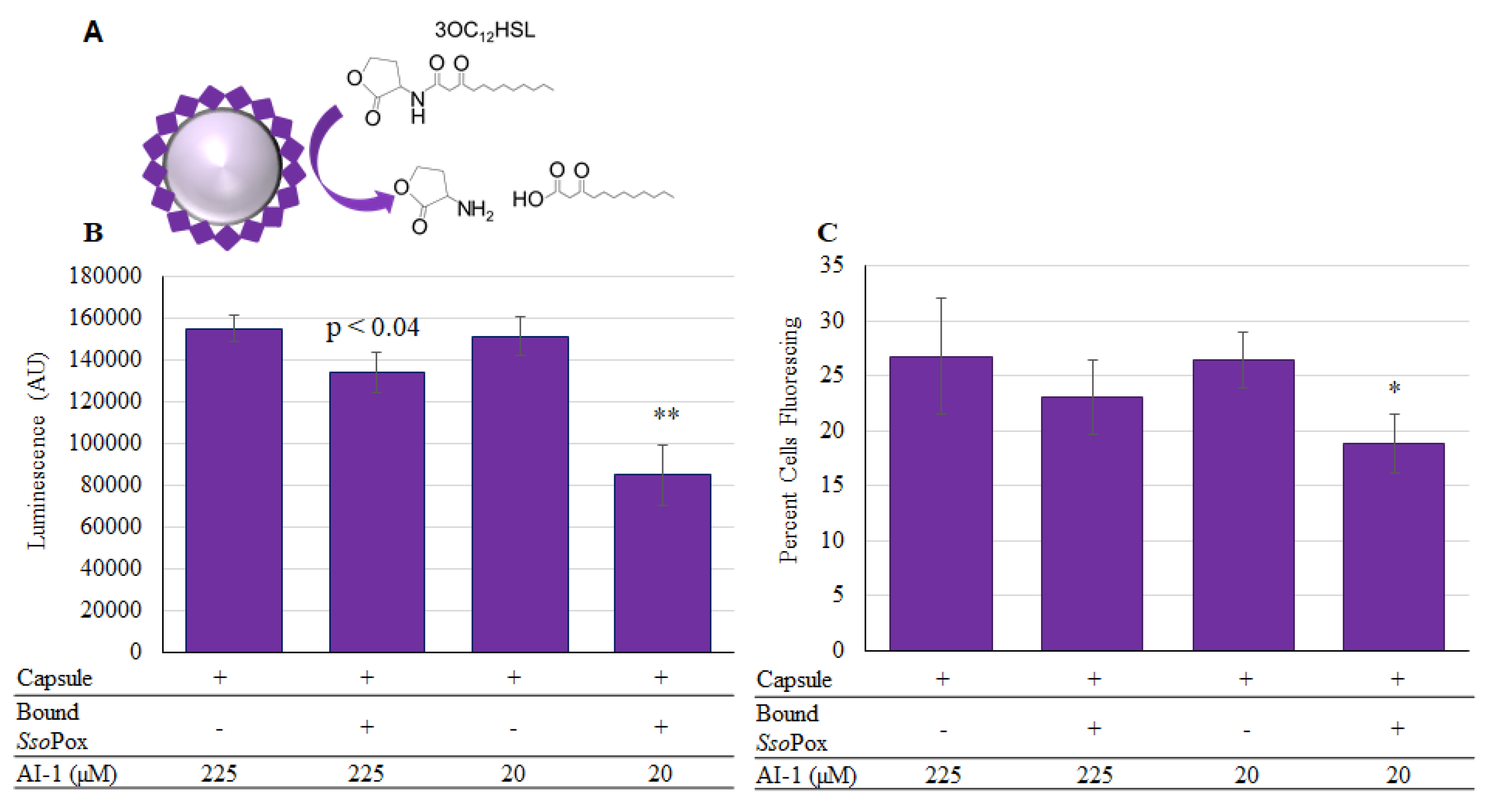 selective multiple quantum coherence lactate