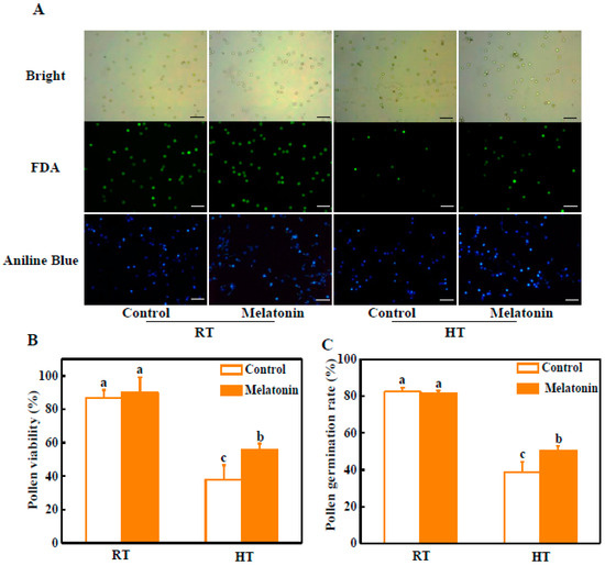 Melatonin Alleviates High Temperature-Induced Pollen