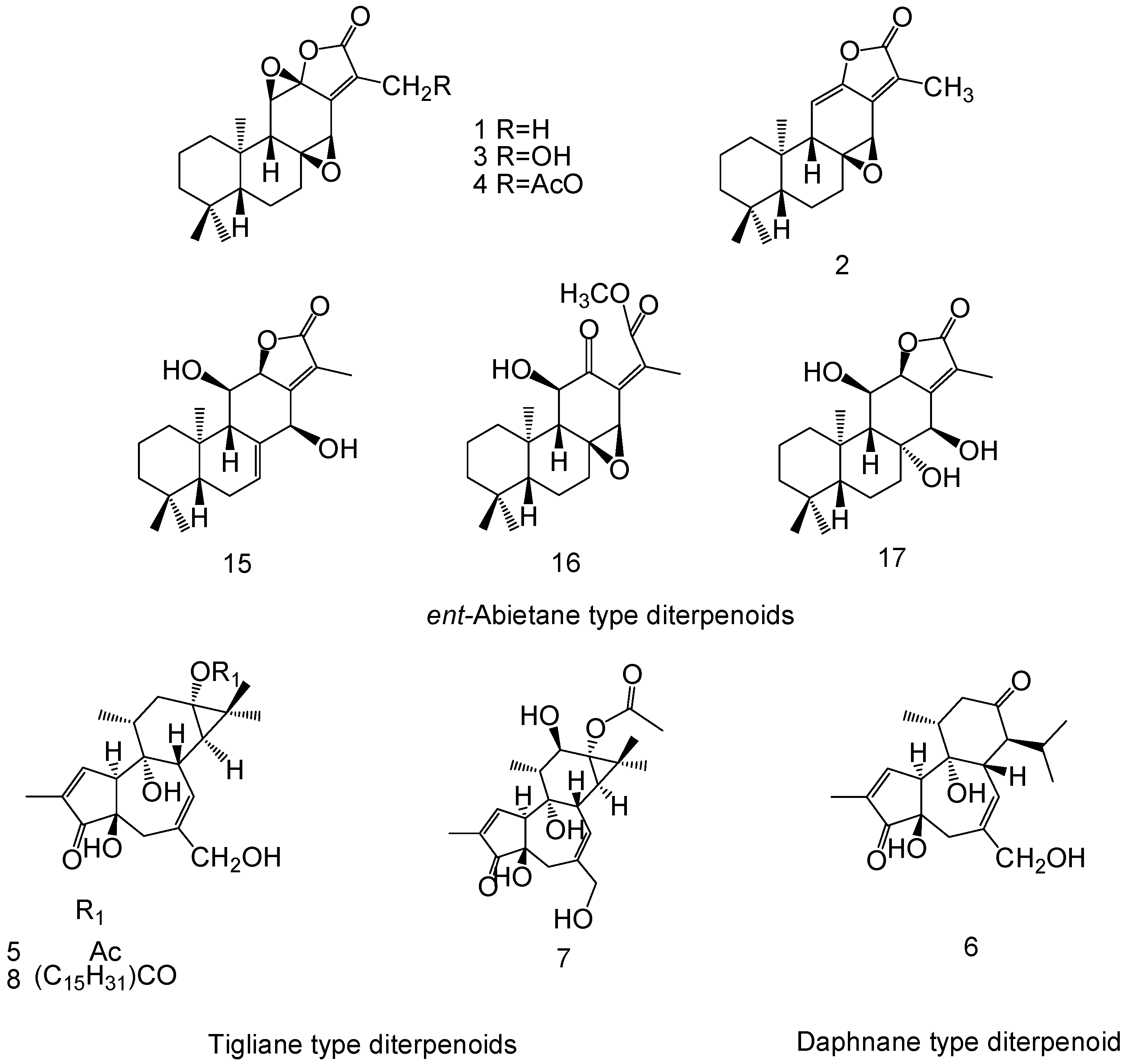 Molecules 23 00387 g001