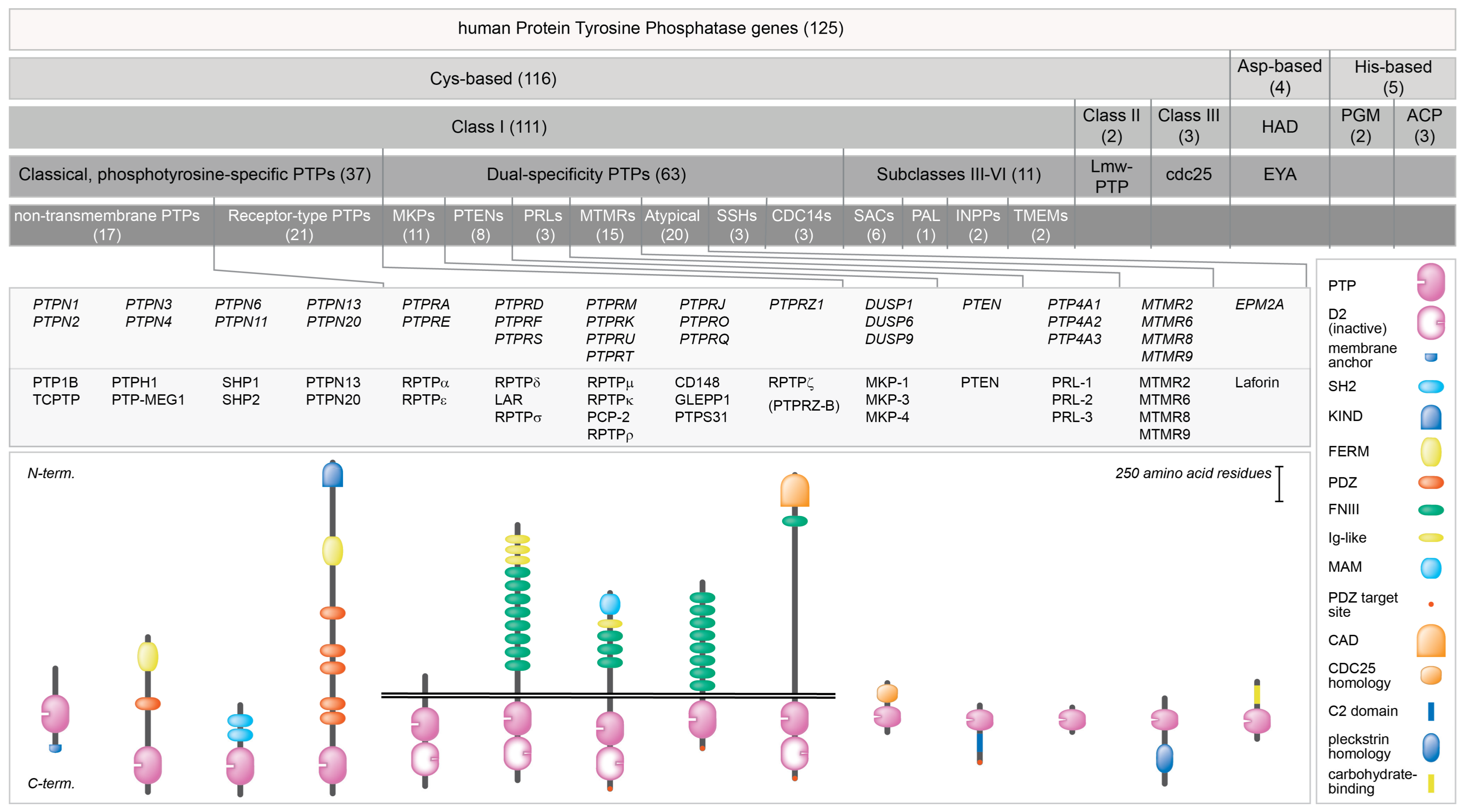 Molecules 23 00395 g001