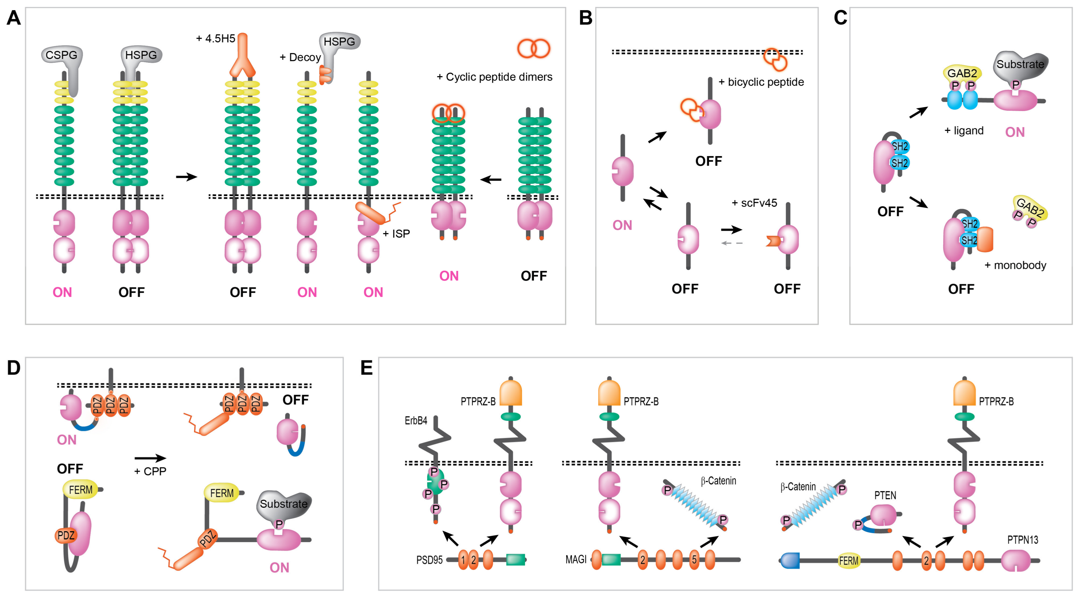 Molecules 23 00395 g004