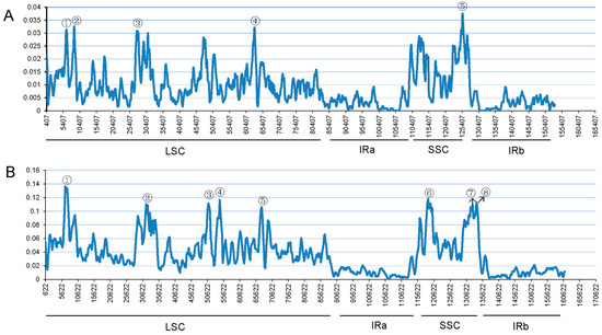 【 】ライラ Complete Chloroplast Genomes of Papaver rhoeas and Papaver
