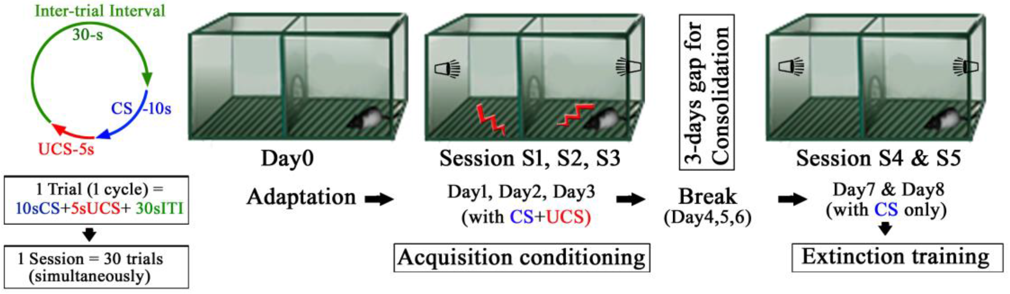 Molecules 23 00451 g004 550