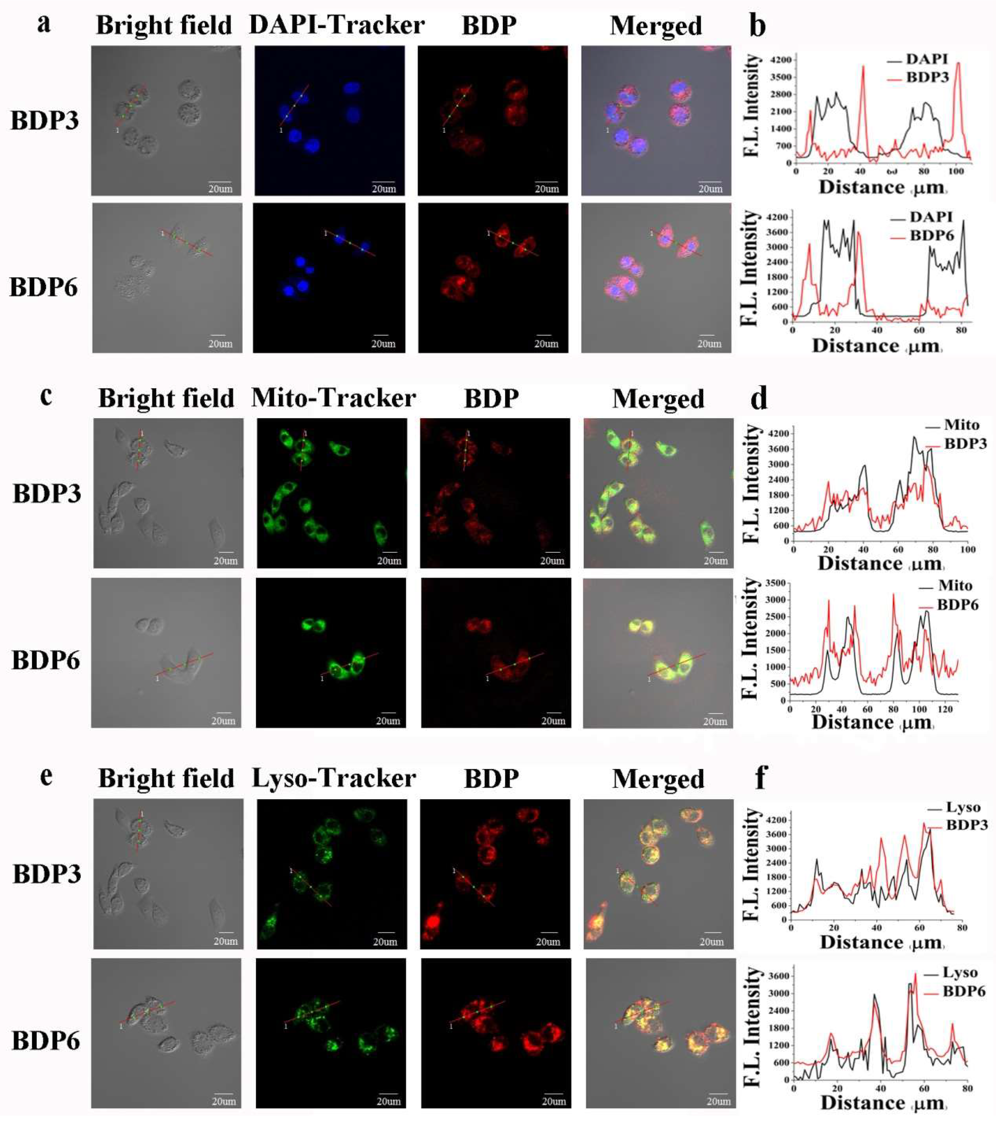 Molecules 23 00458 g006 550