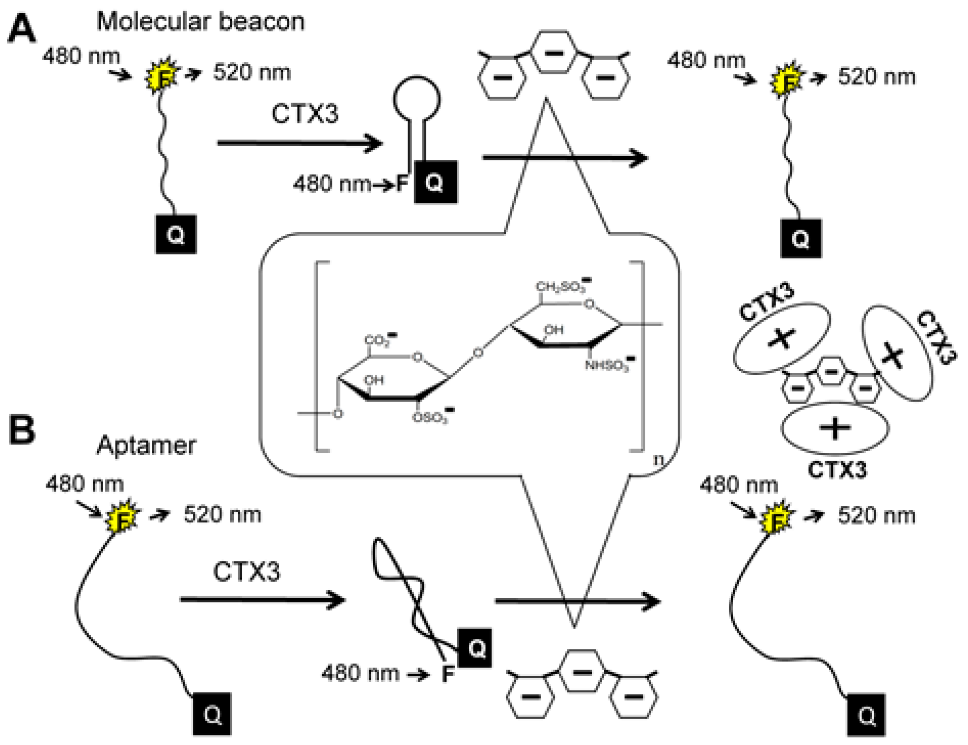 Molecules 23 00460 g001 550